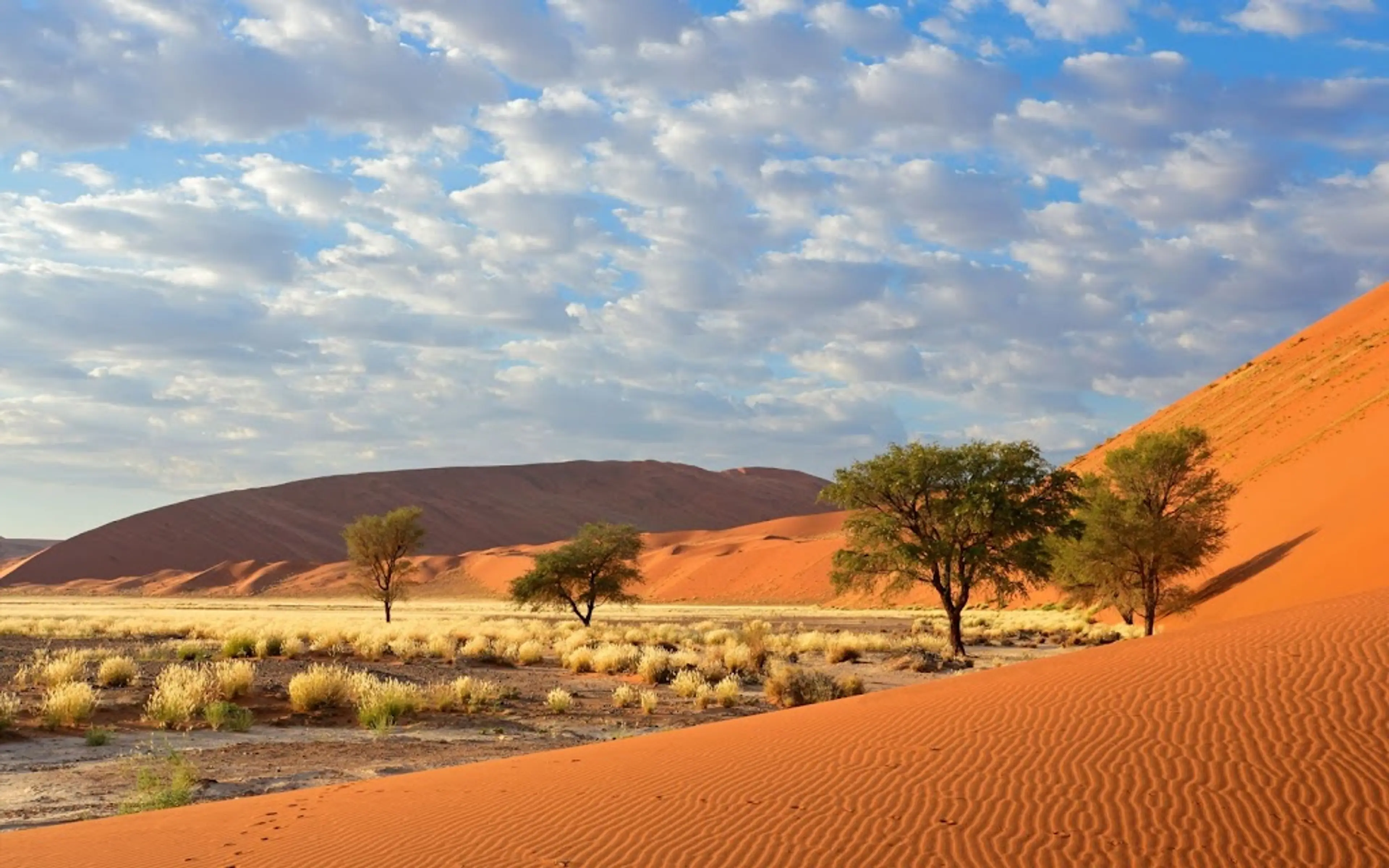 Namib-Naukluft National Park