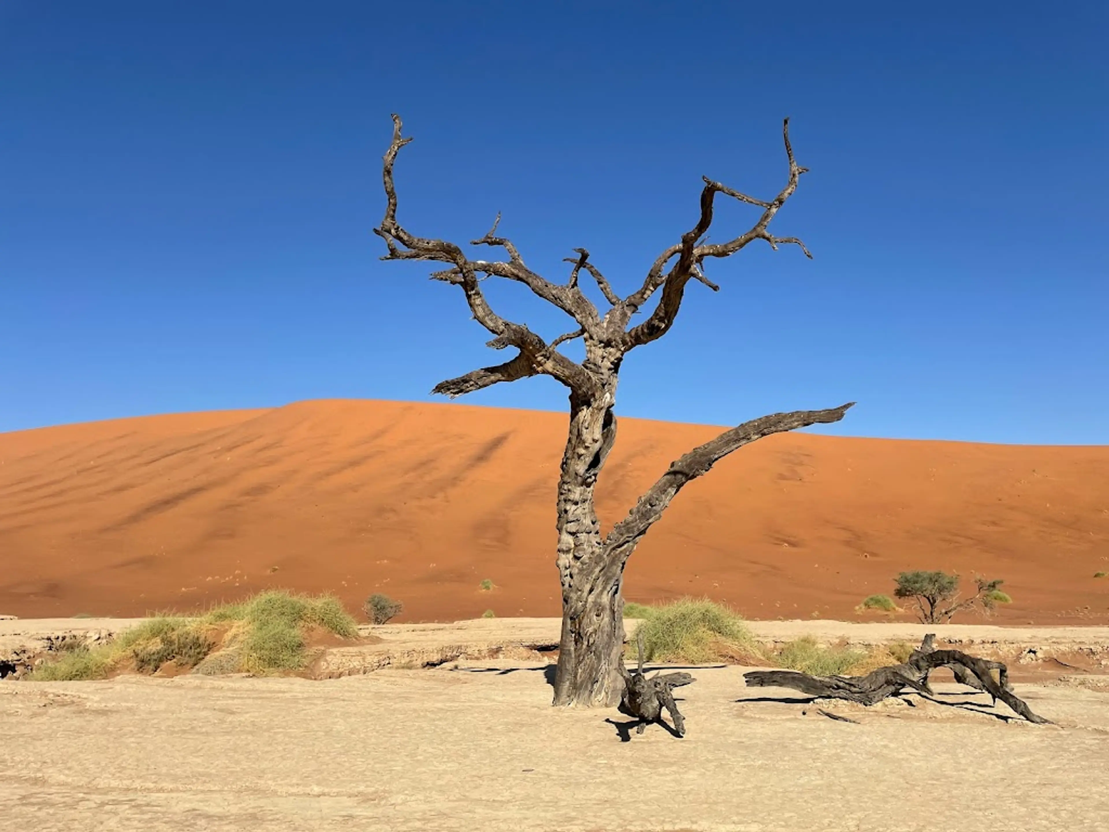 Namib-Naukluft National Park