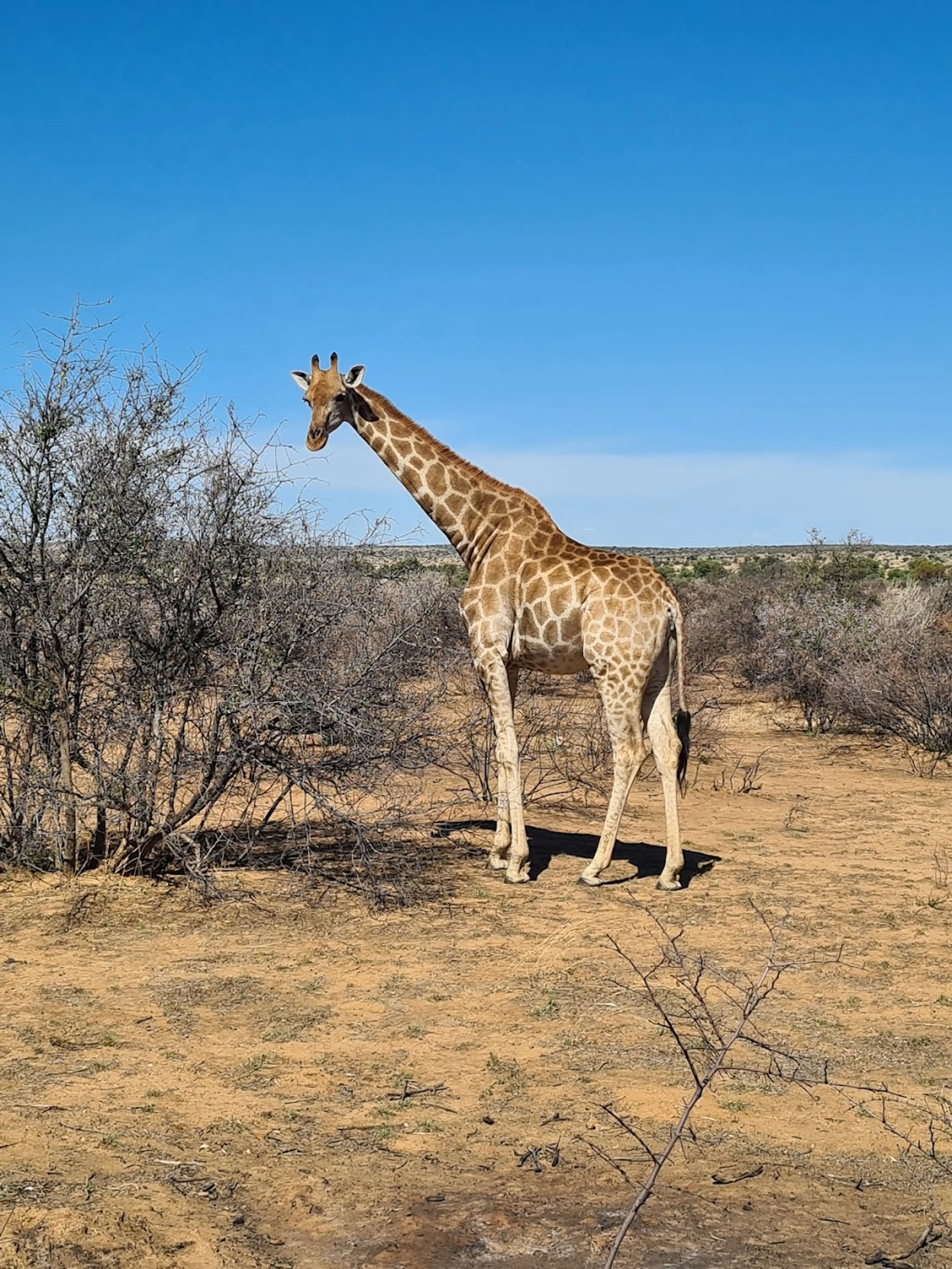 Naankuse Wildlife Sanctuary