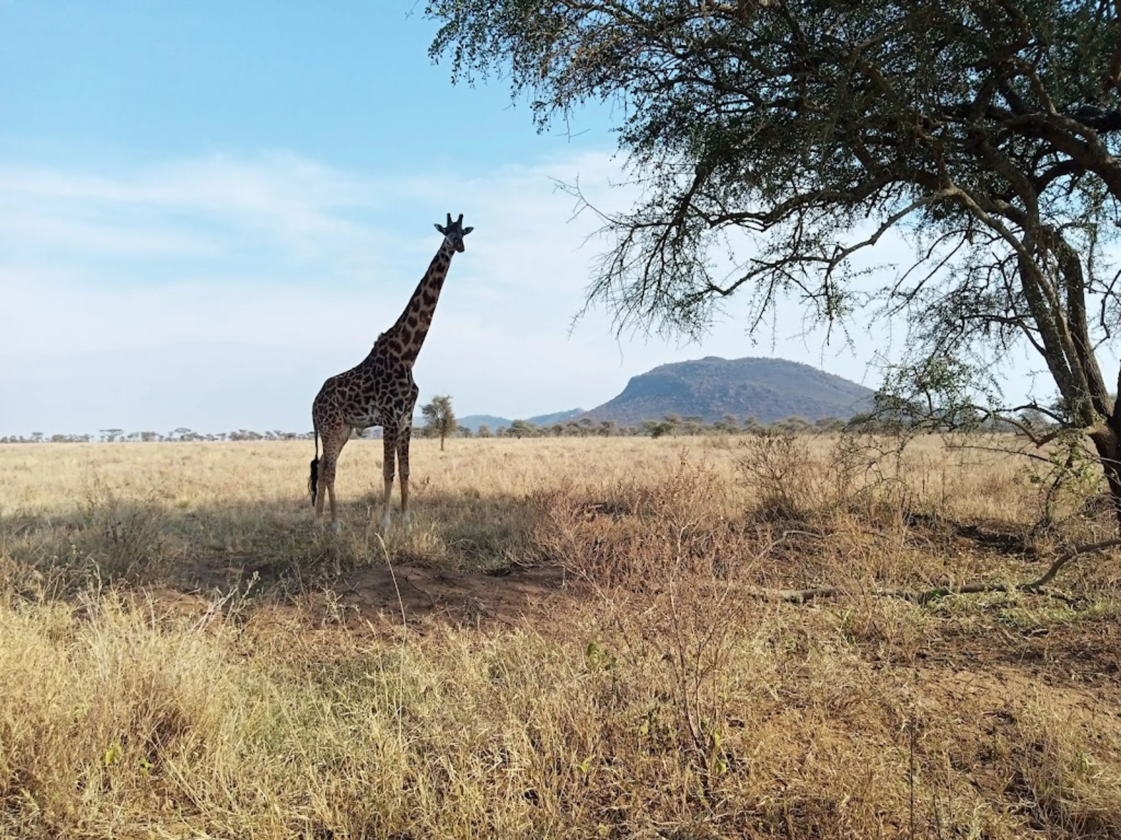 Ngorongoro Conservation Area