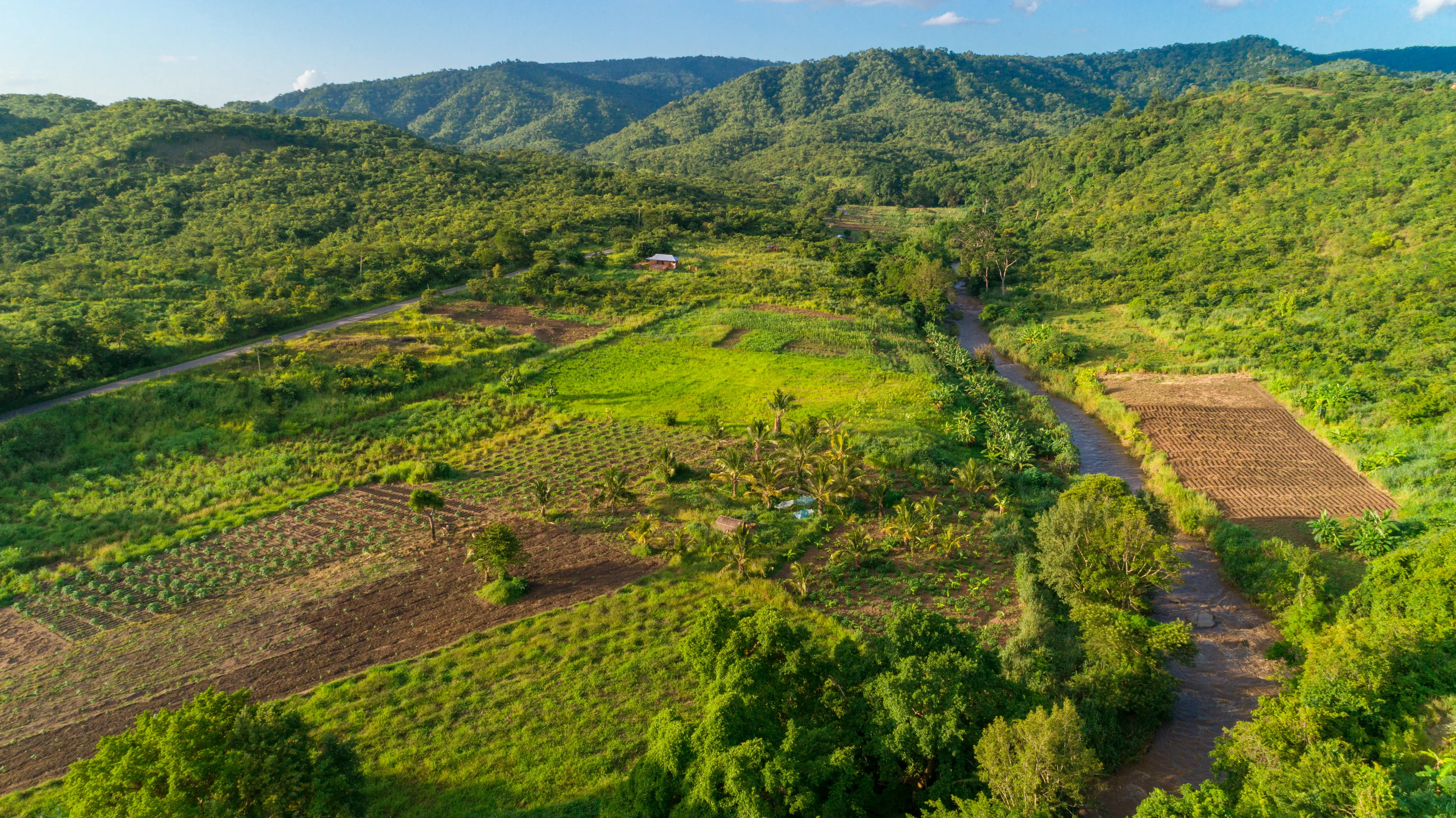 Morogoro