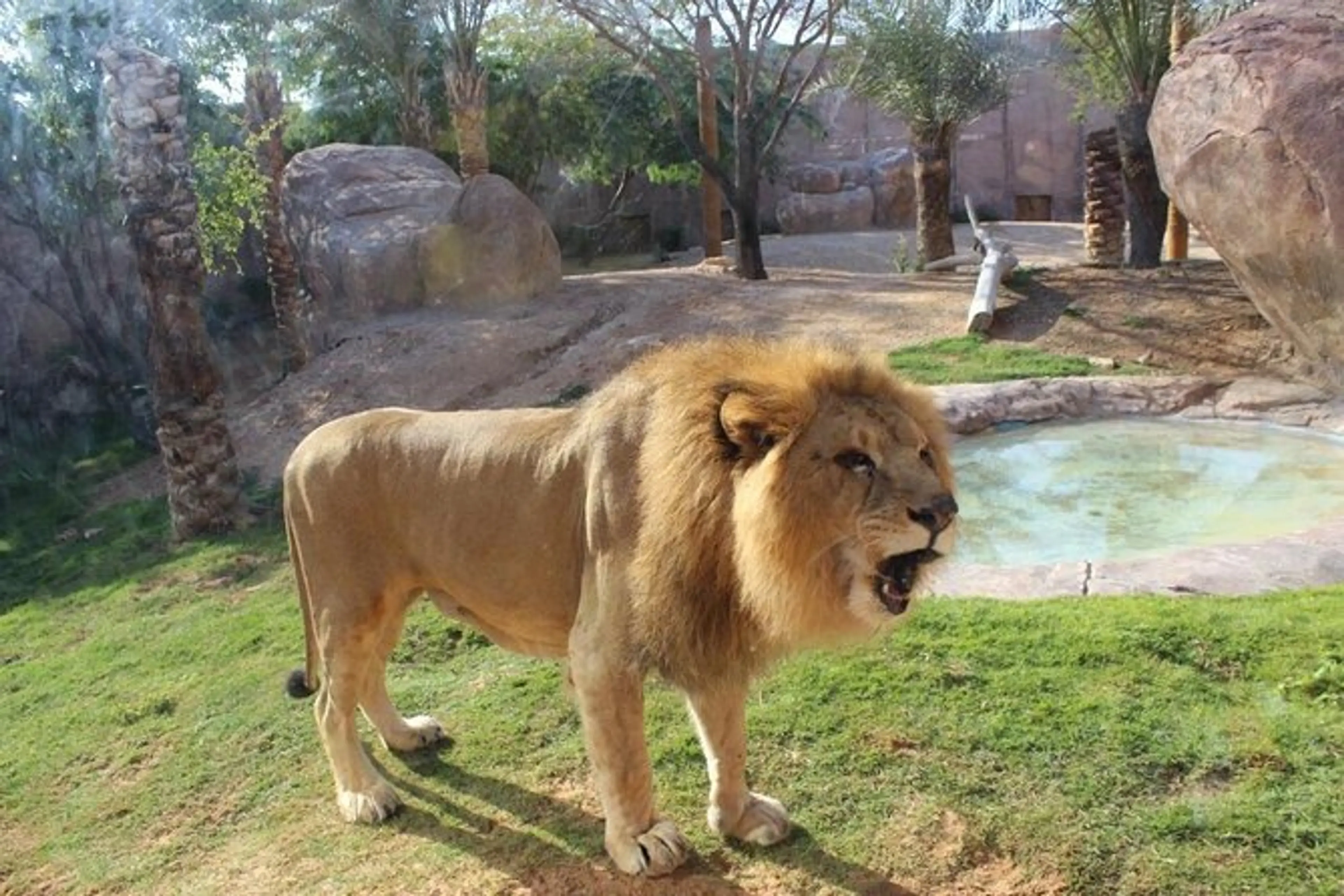 Al Ain Zoo