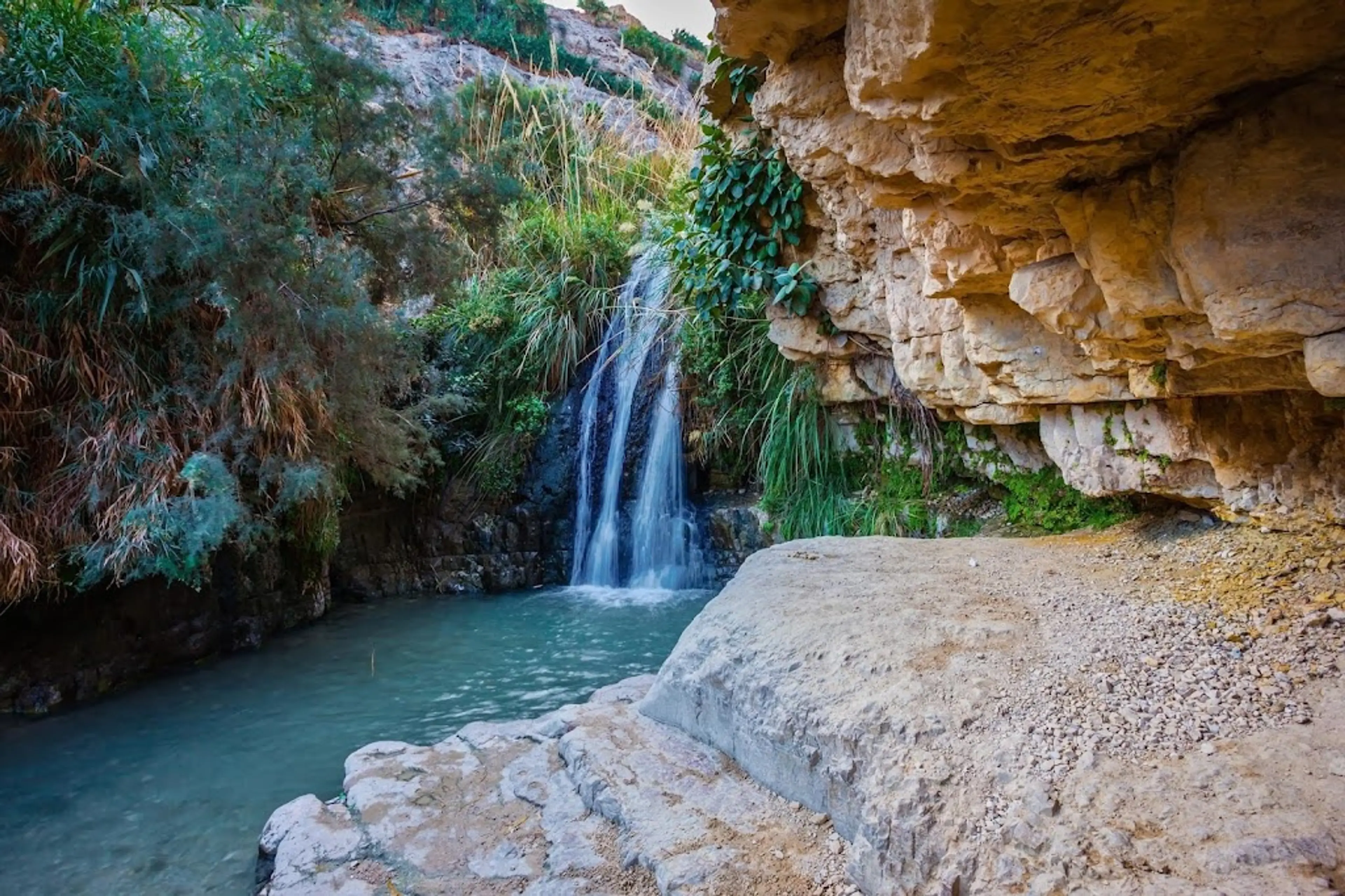 Ein Gedi Nature Reserve