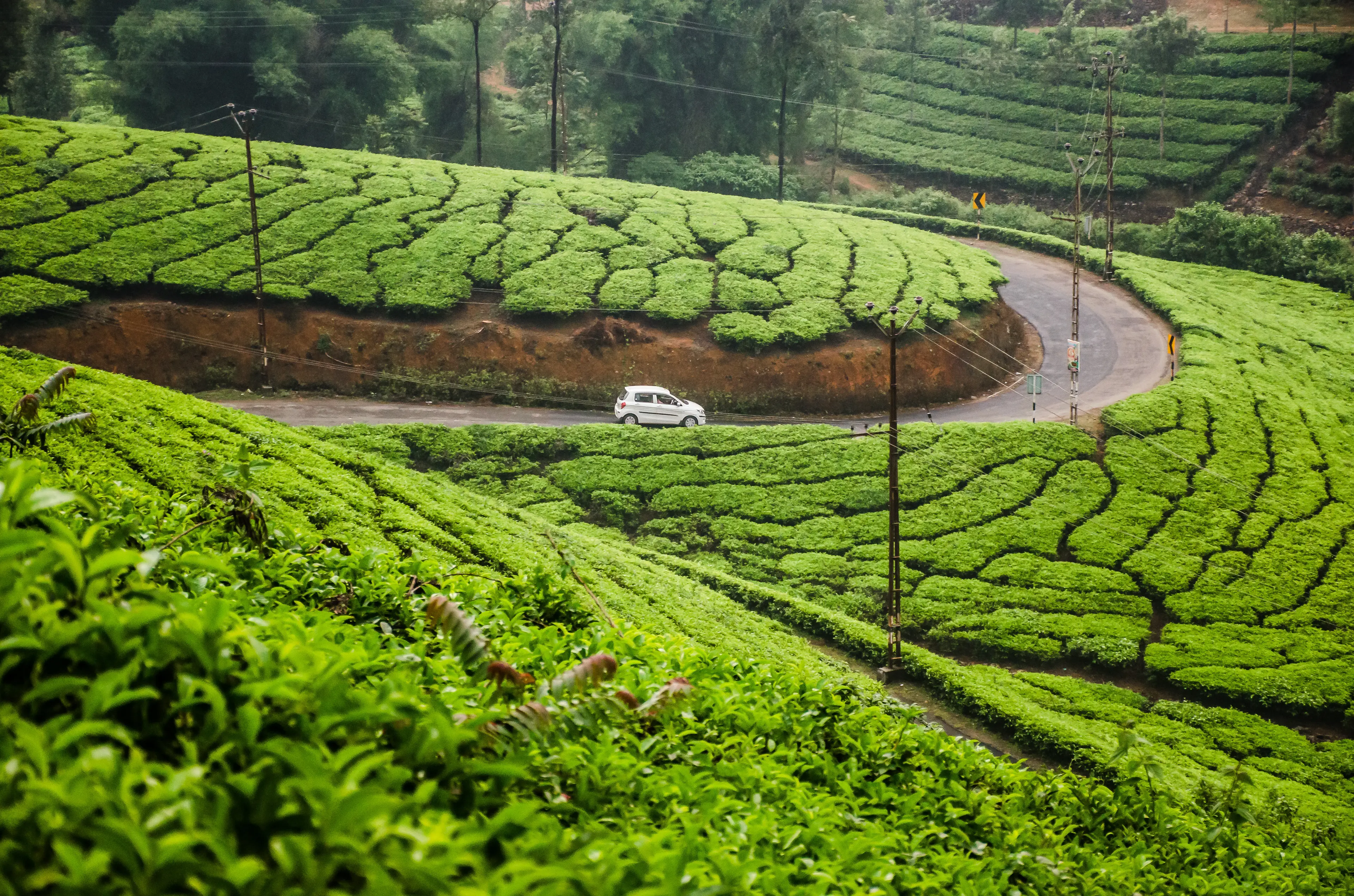 Idukki