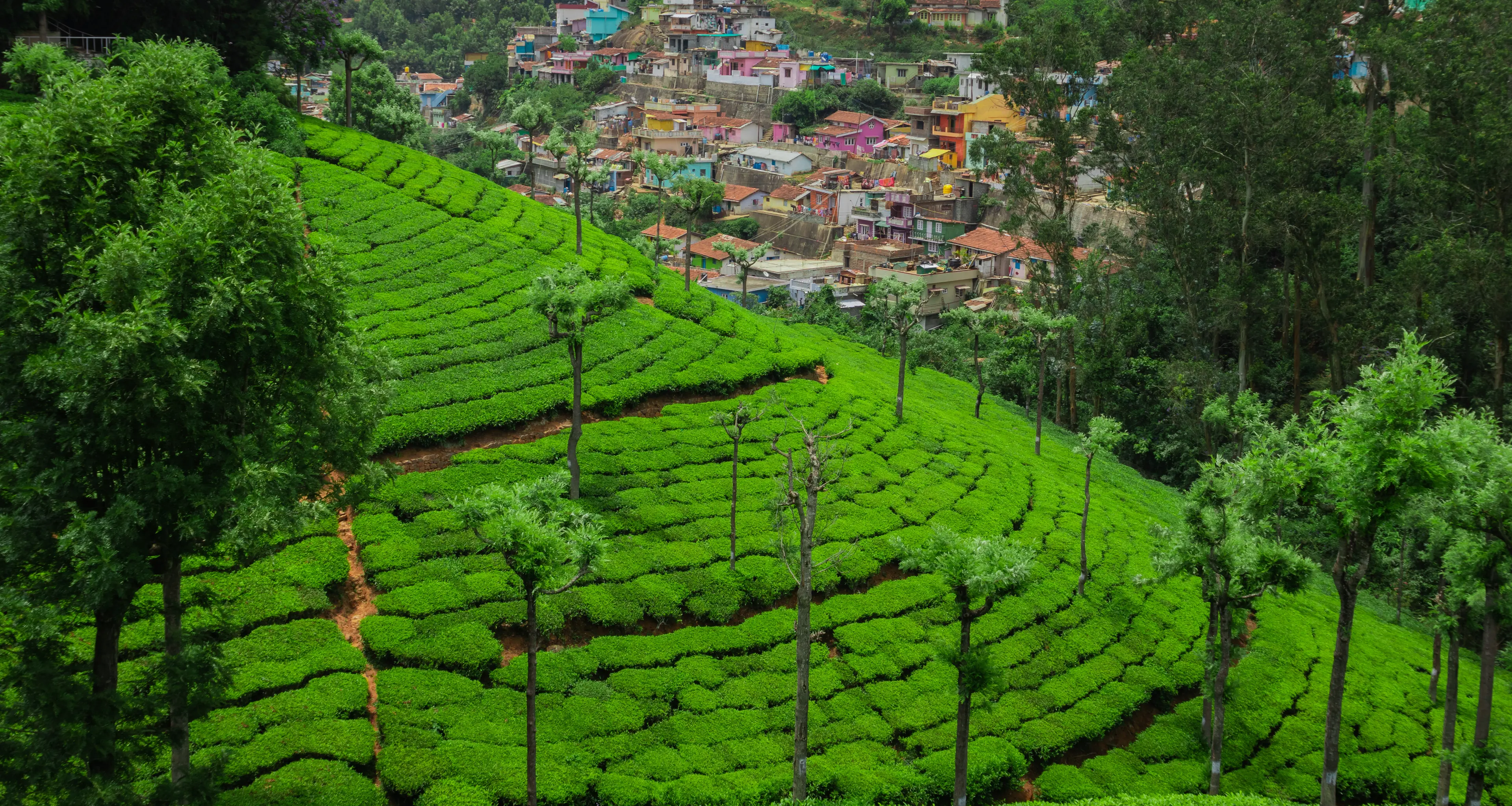 Vagamon