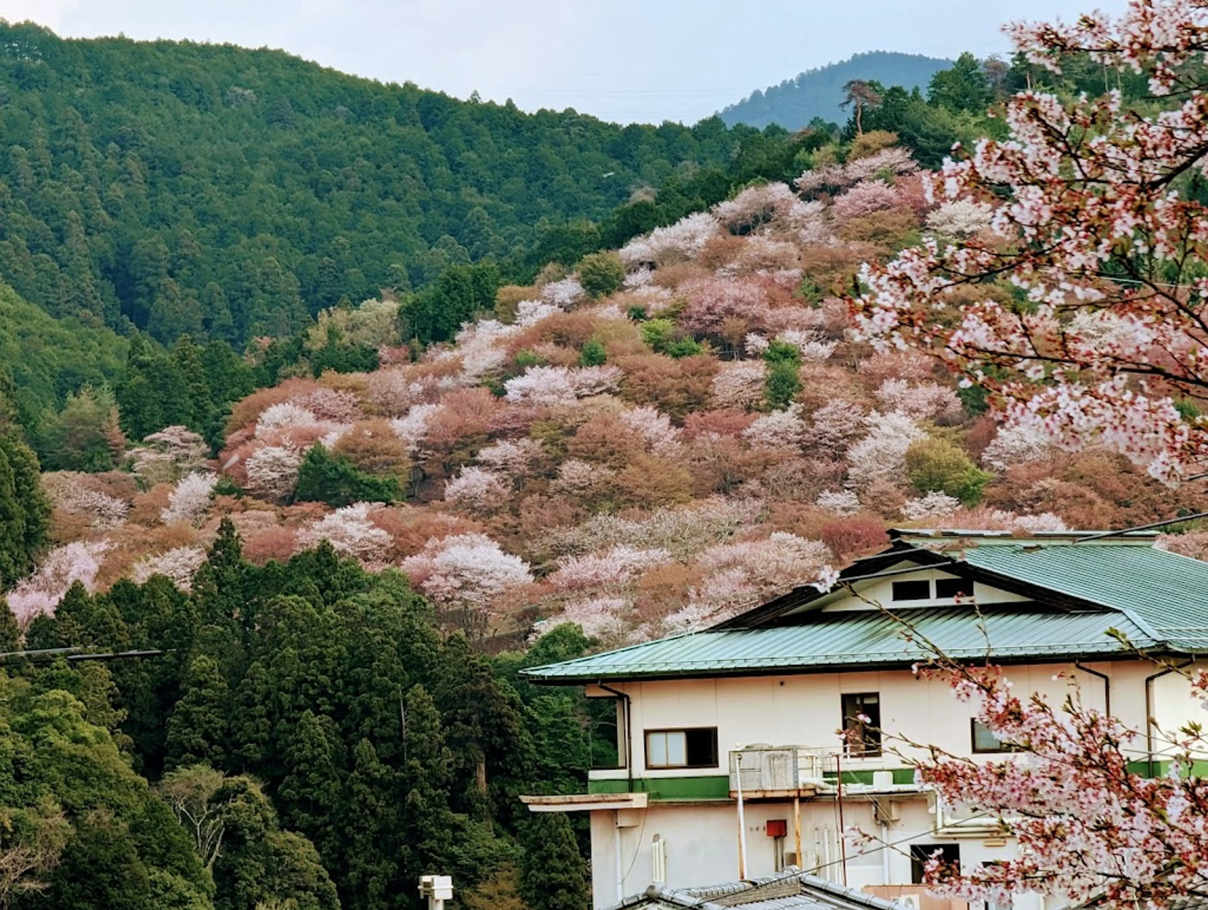 Mount Yoshino