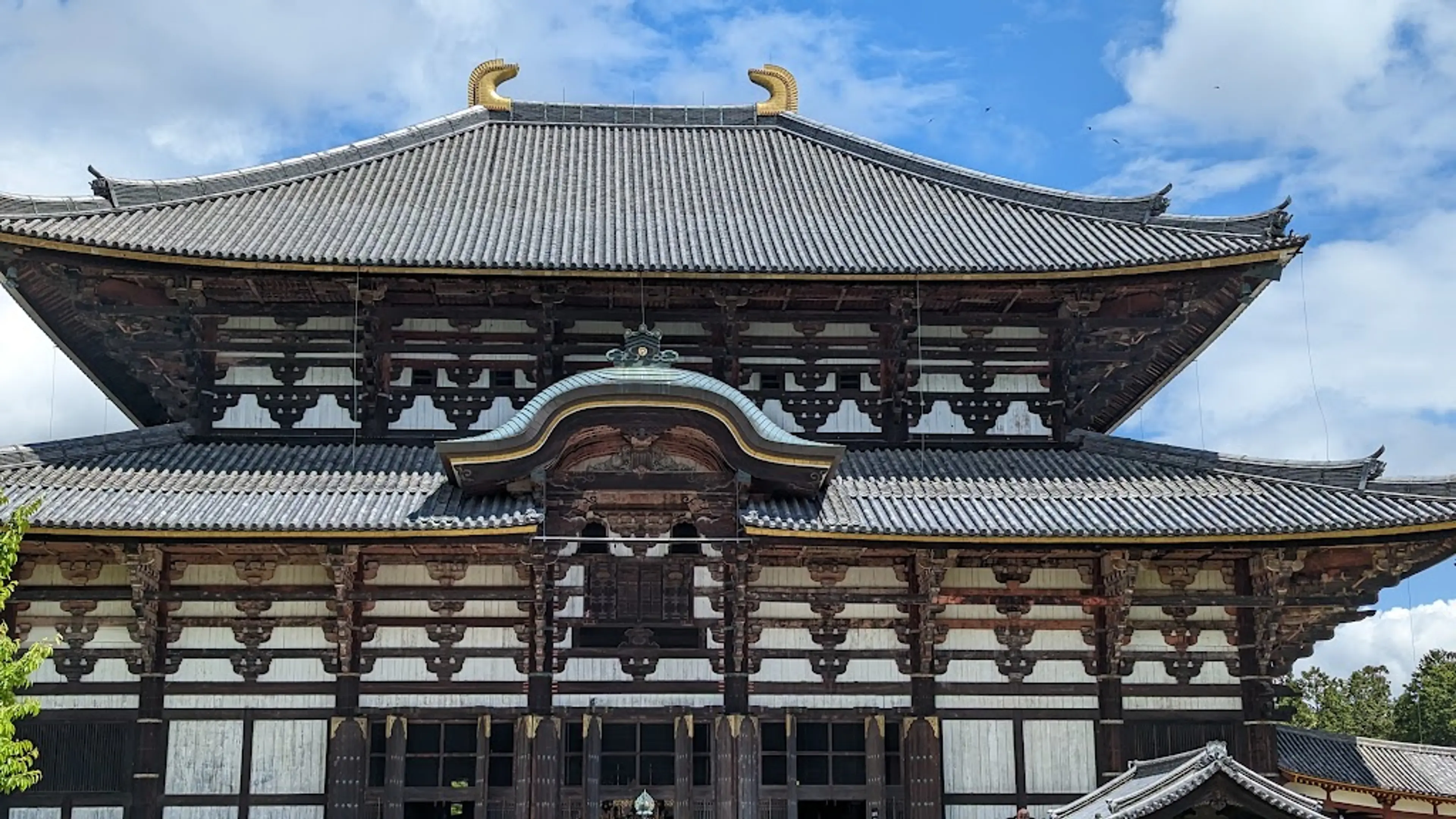 Nara Park