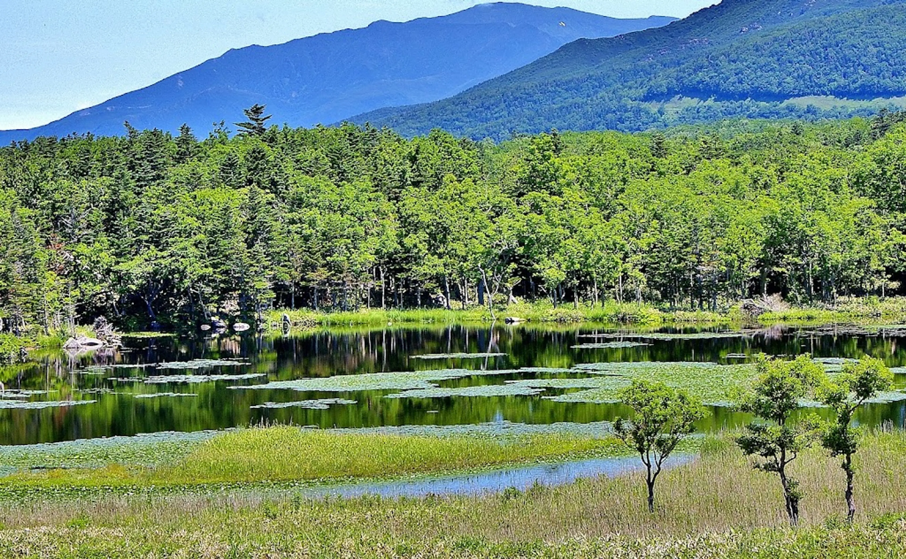 Shiretoko National Park