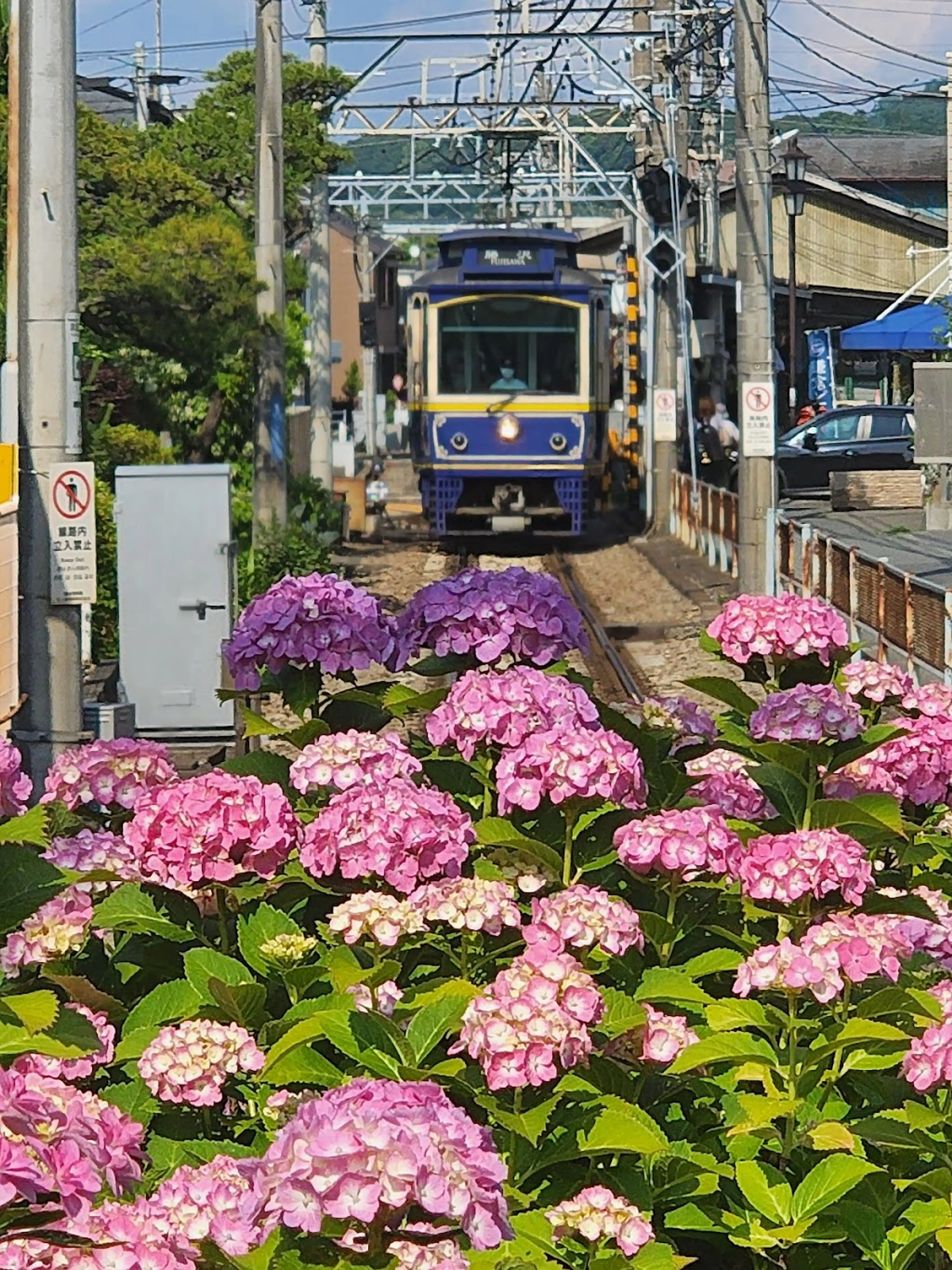 Kamakura