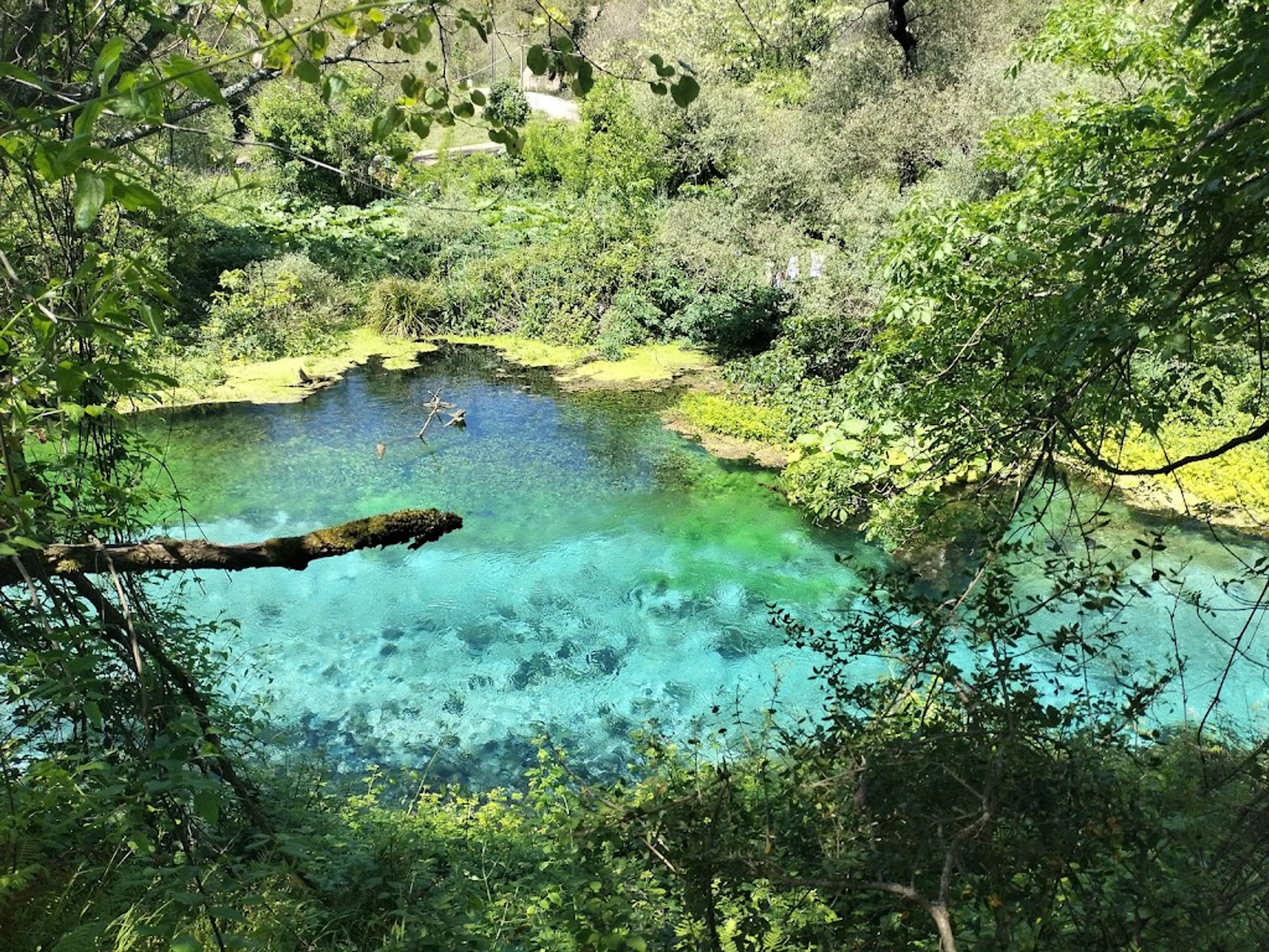Blue Eye Spring