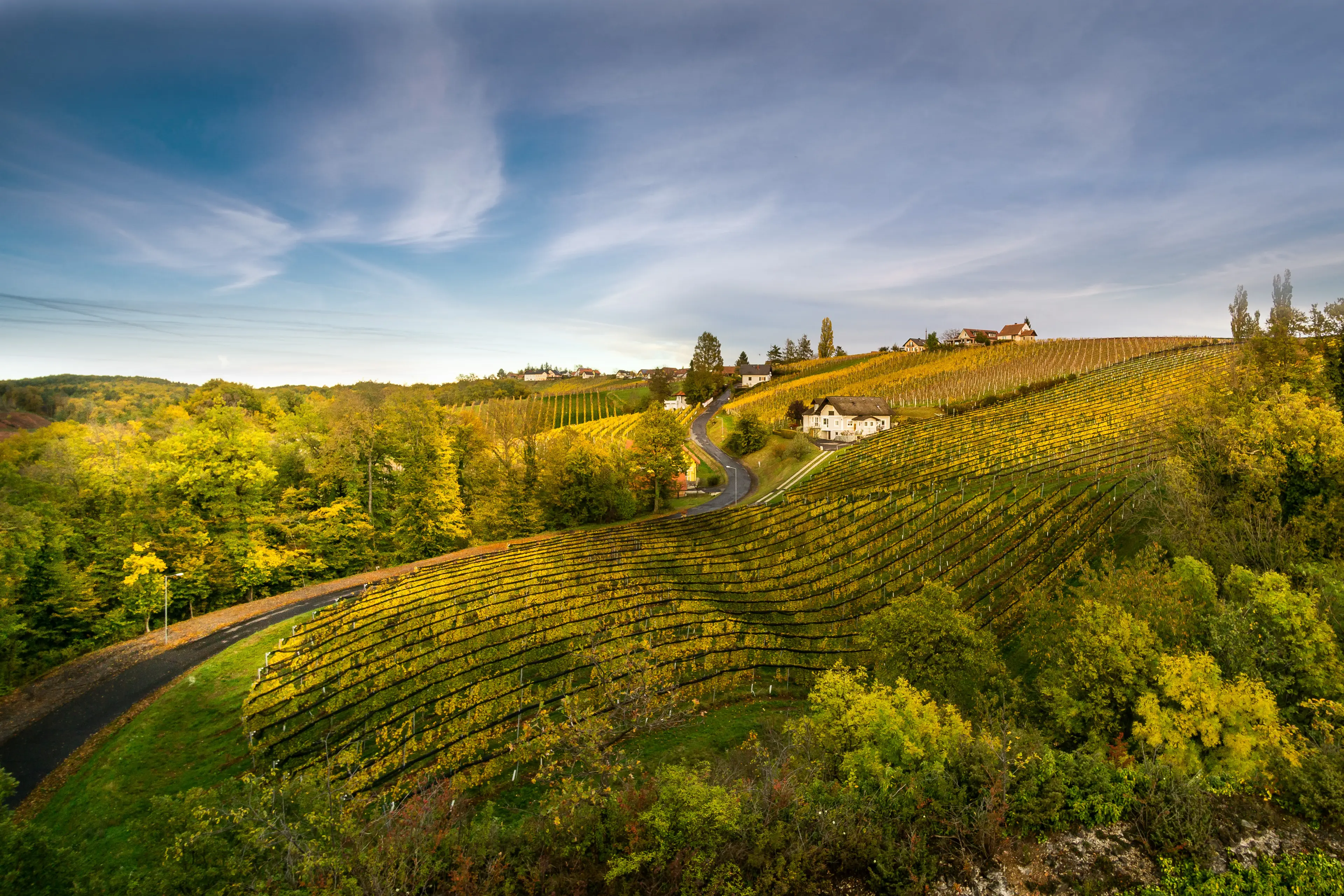 Burgenland Wine Region
