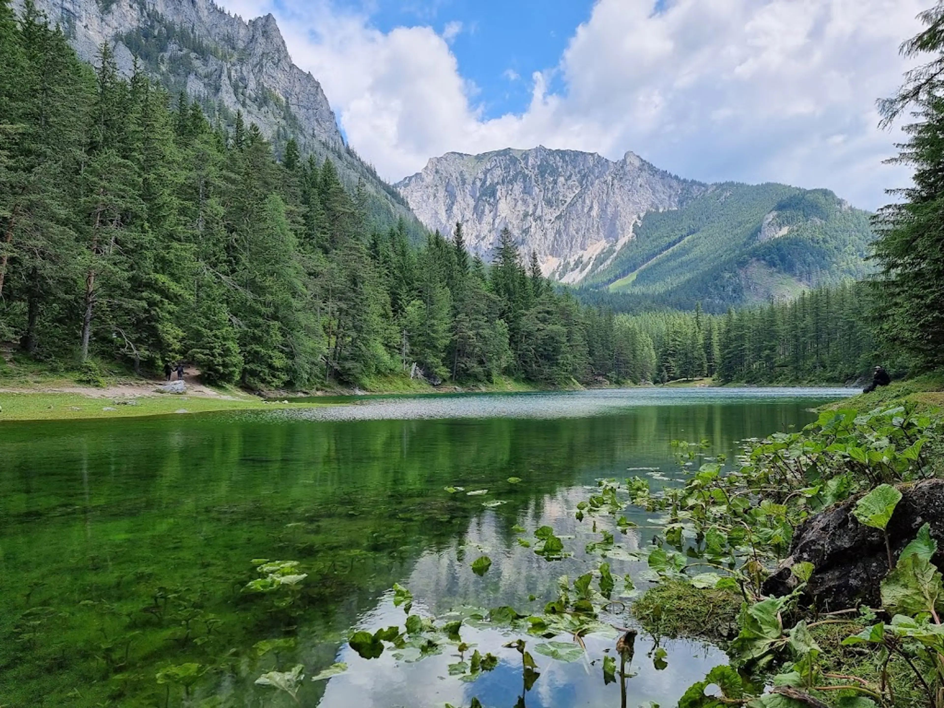 Grüner See