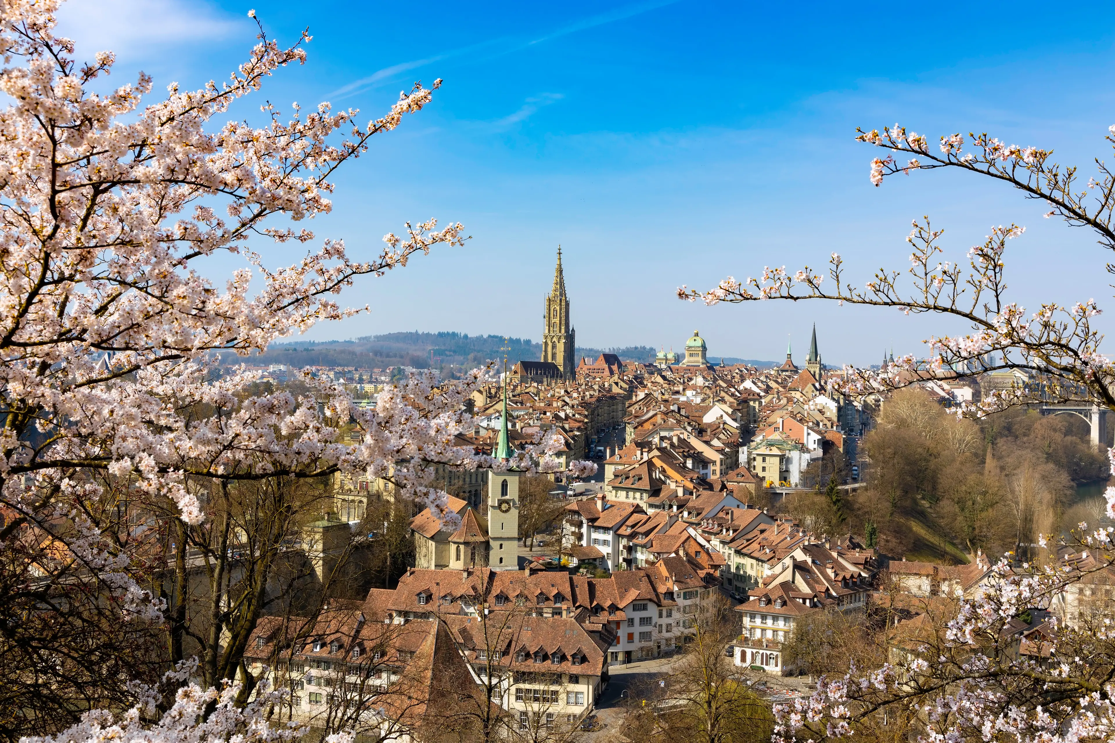 Bern