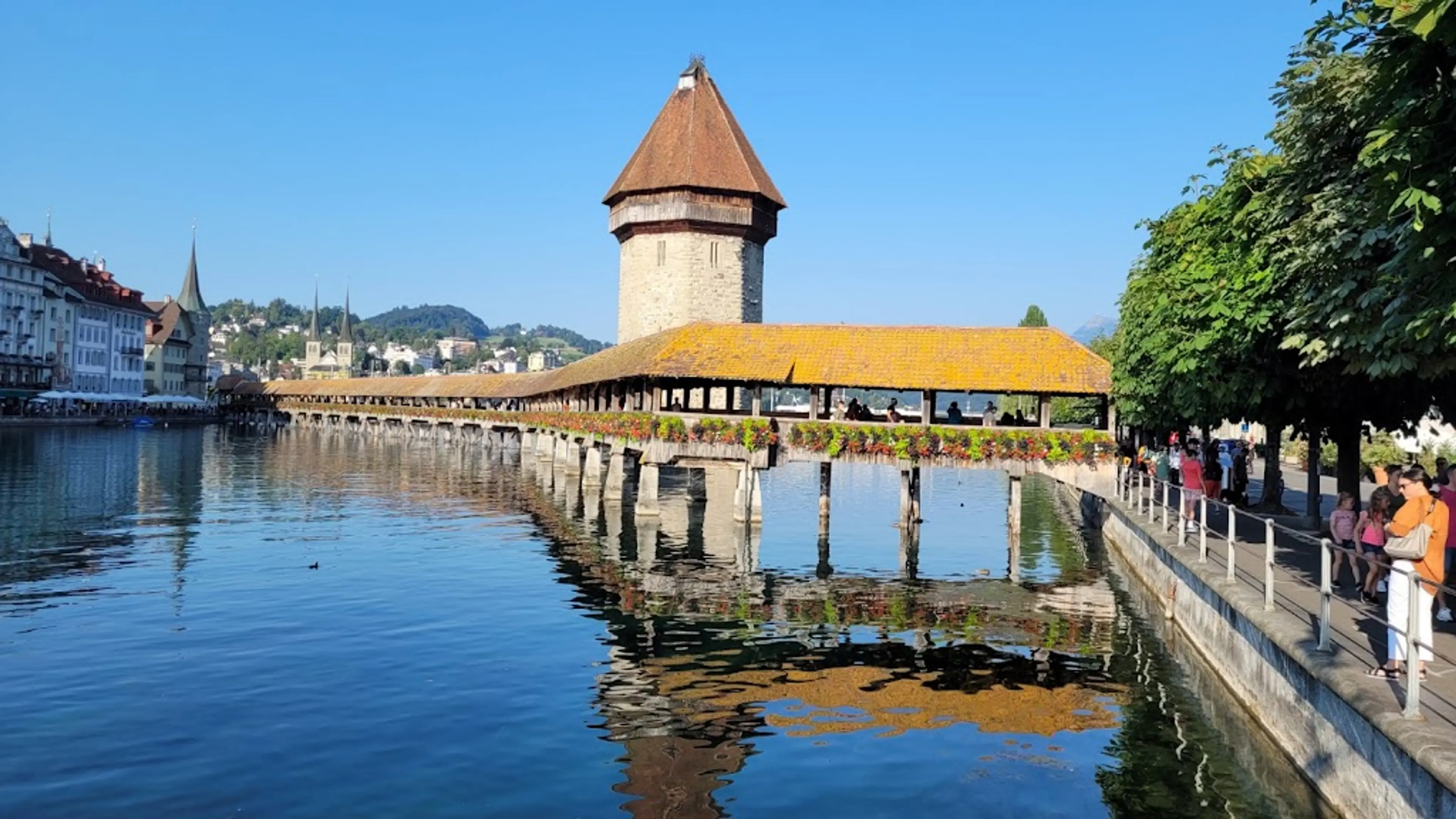 Lucerne