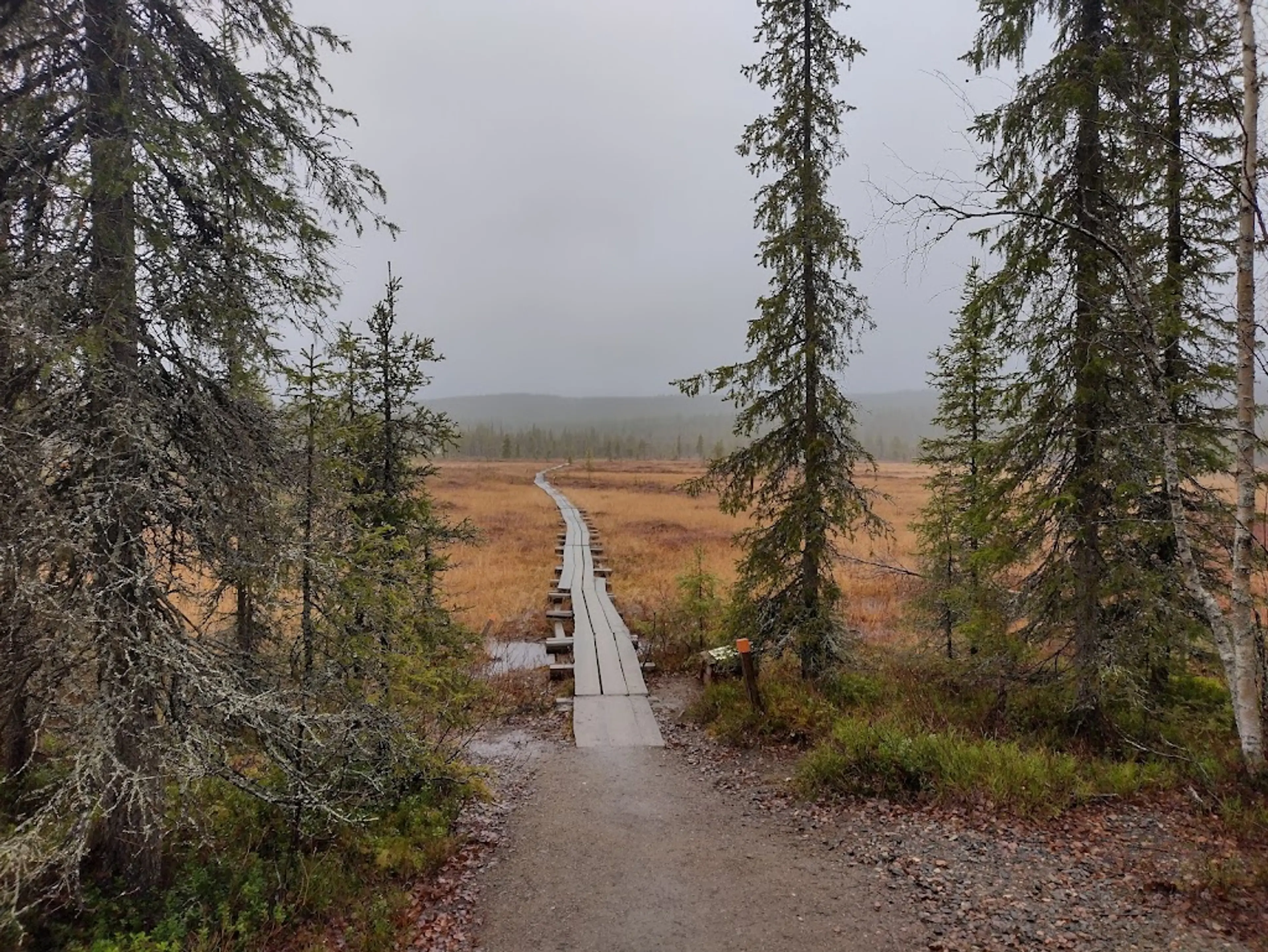 Pallas-Yllästunturi National Park