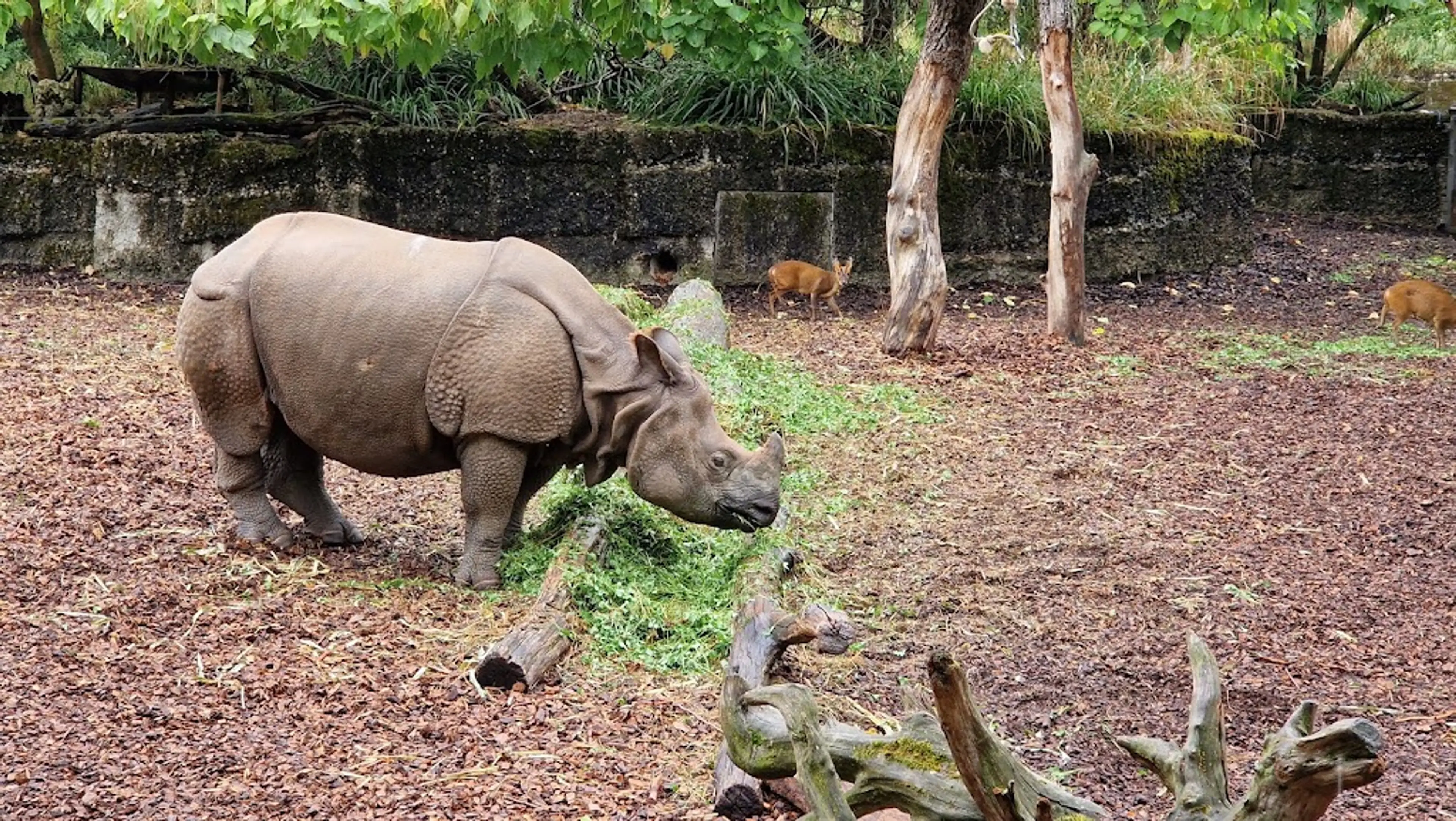 Basel Zoo