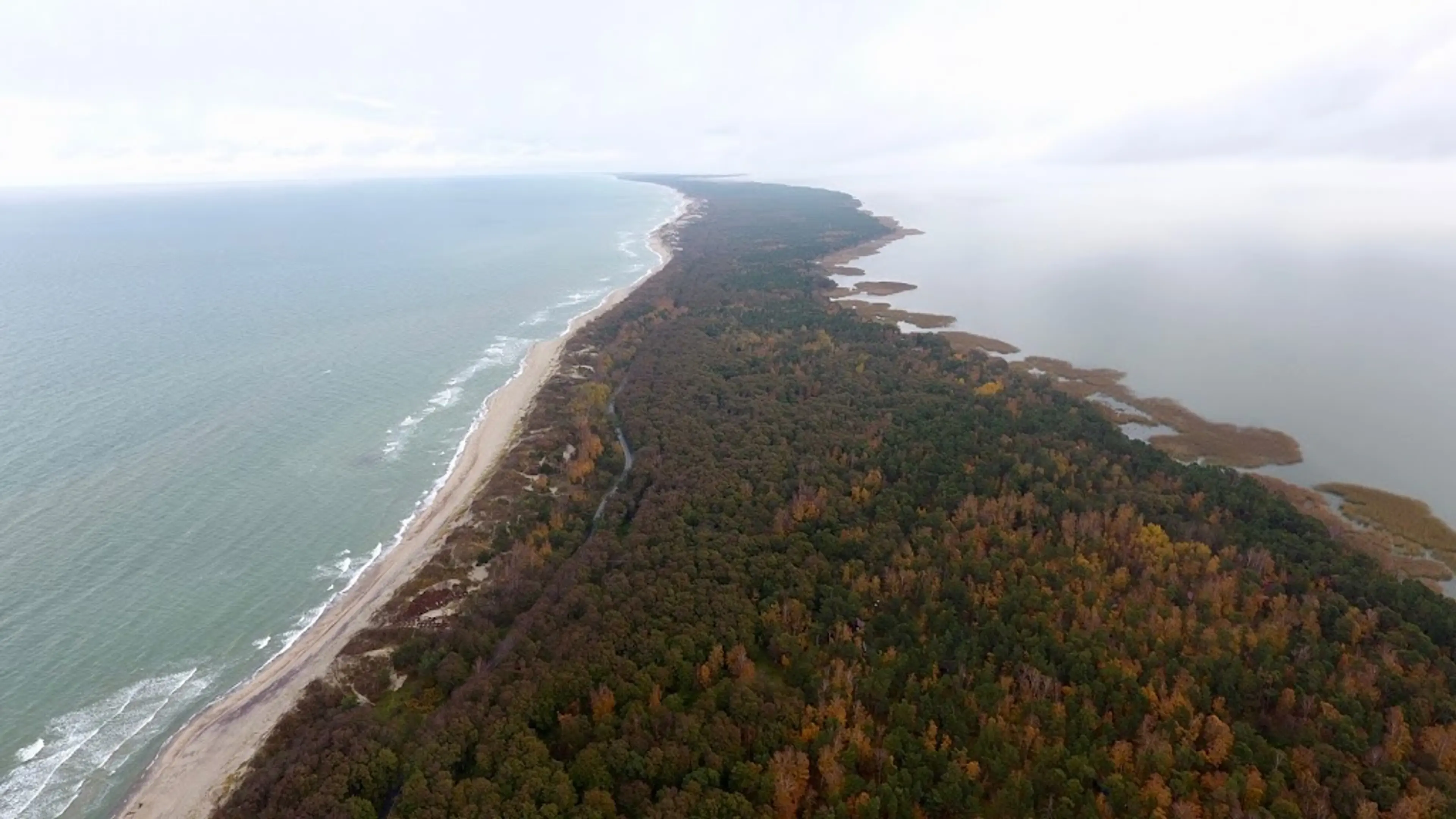 Curonian Spit