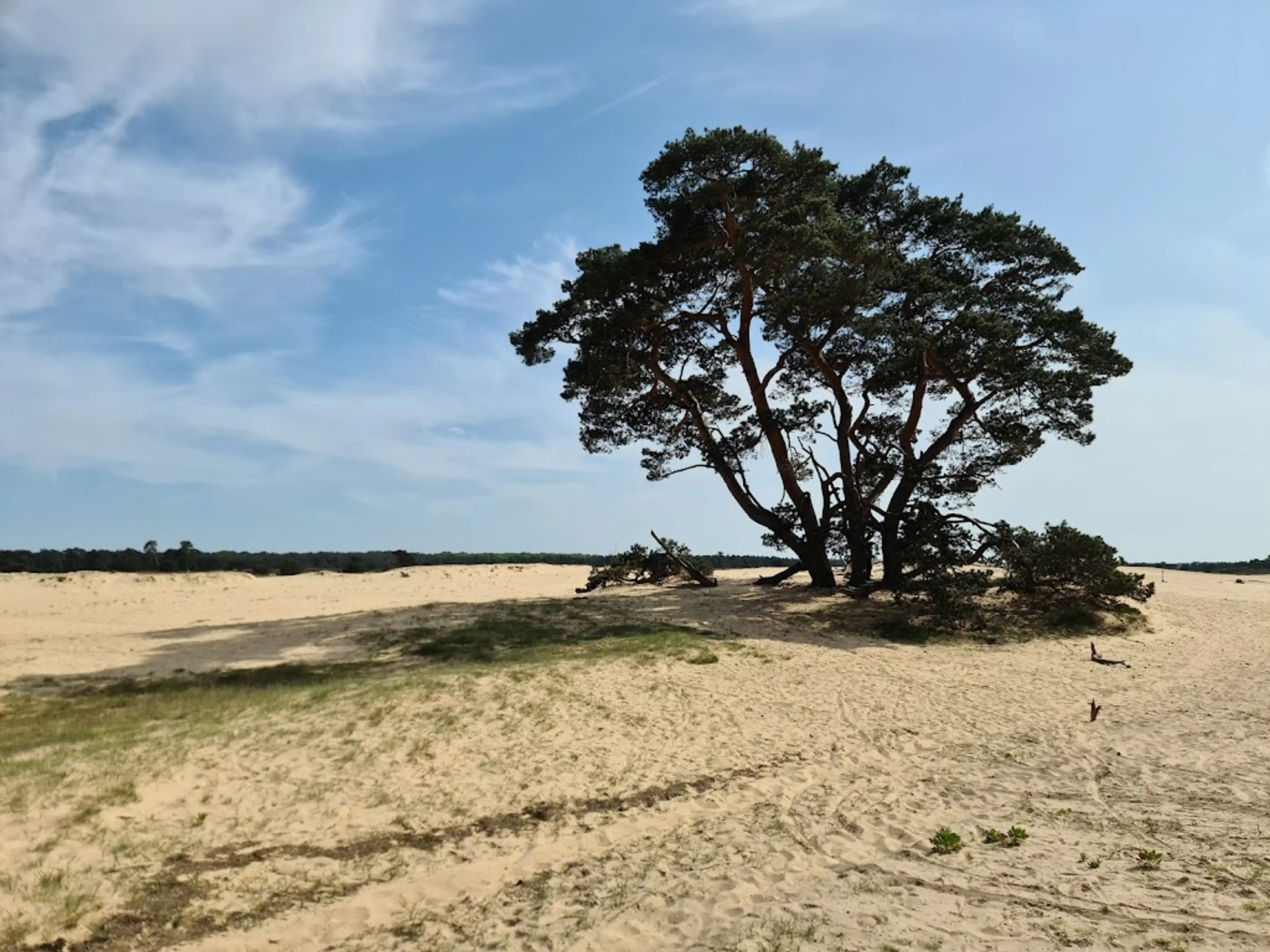 De Hoge Veluwe National Park