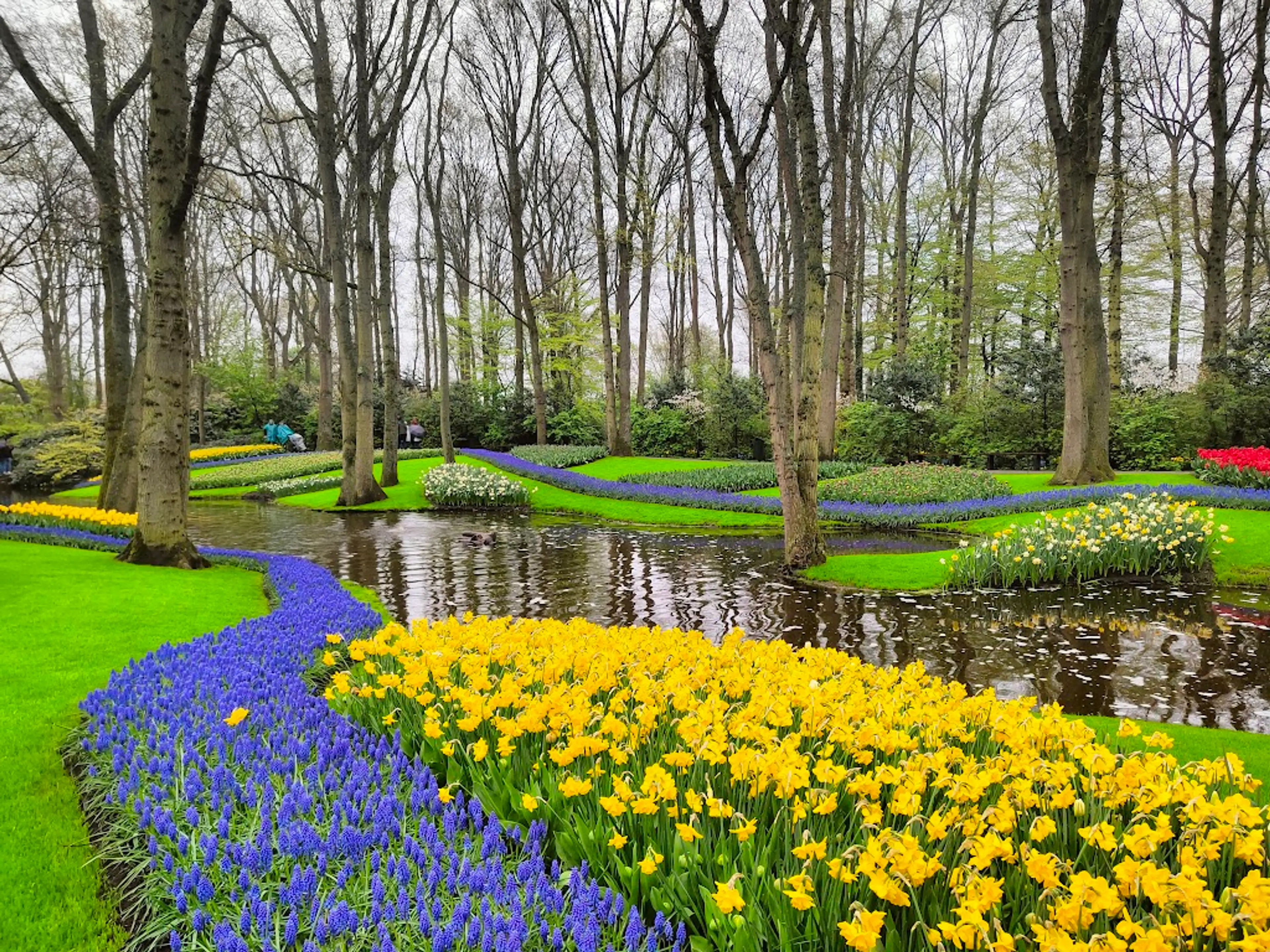 Keukenhof