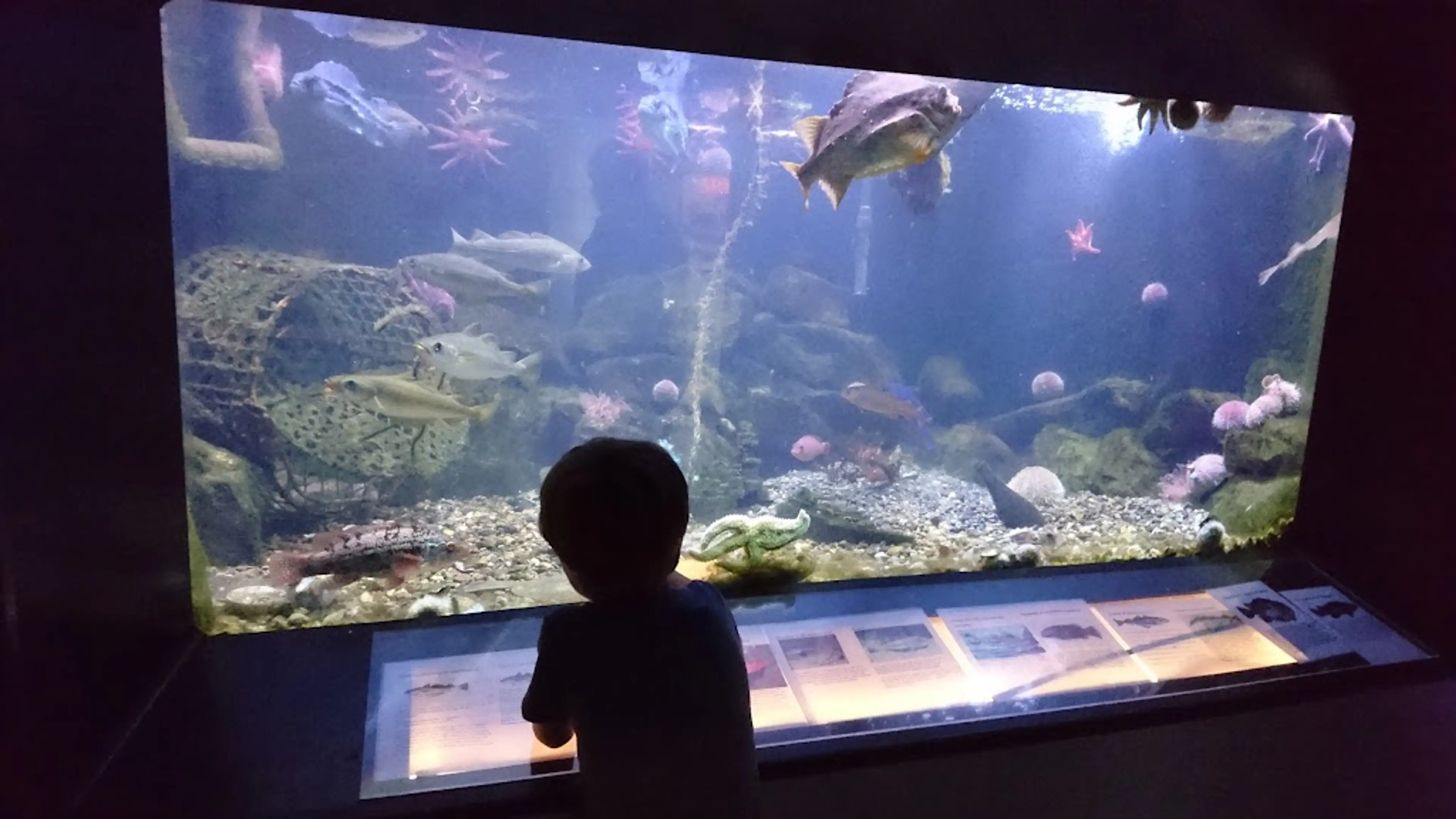 Drøbak Aquarium