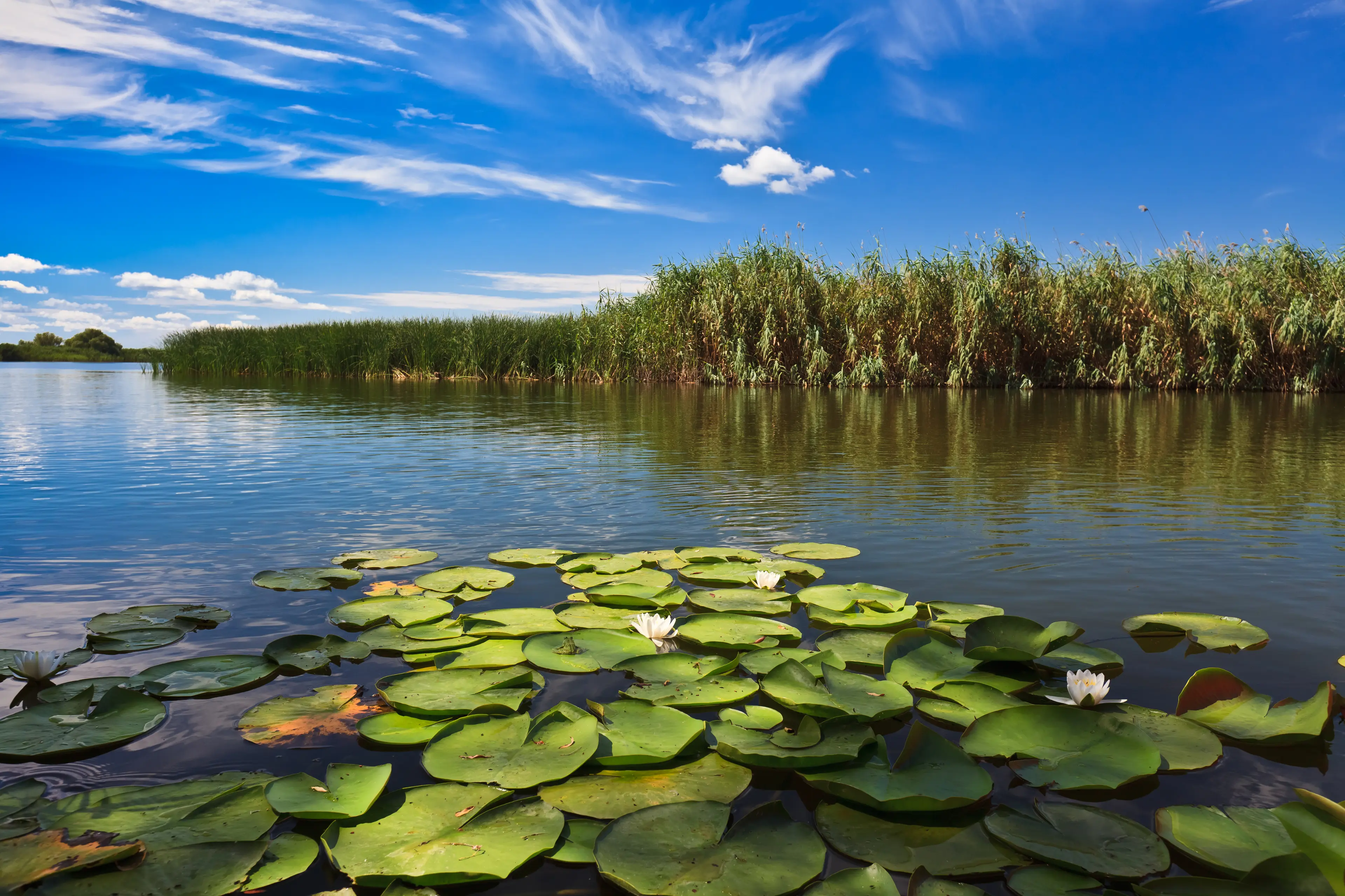 Danube Delta