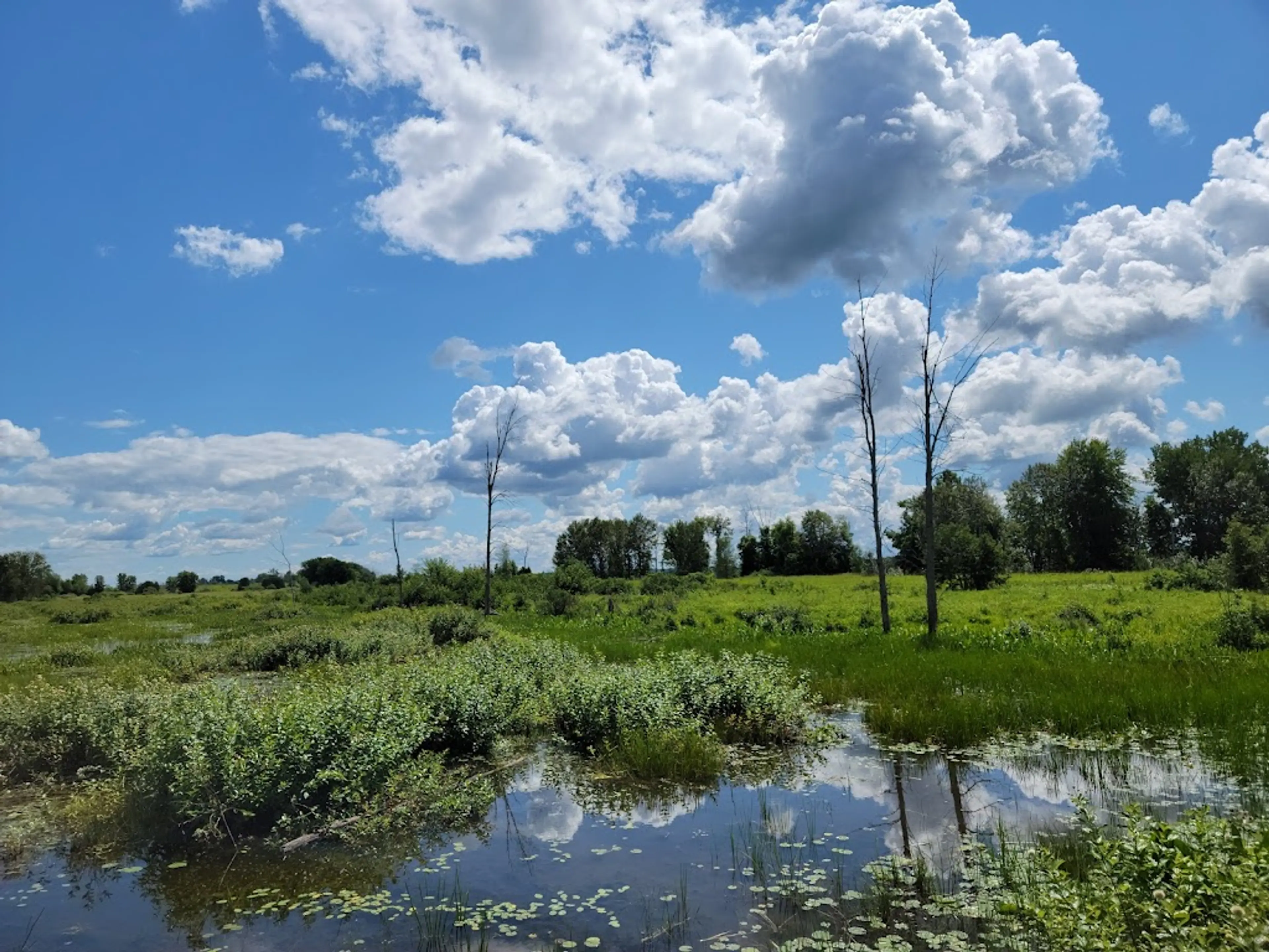 Parc National de Plaisance