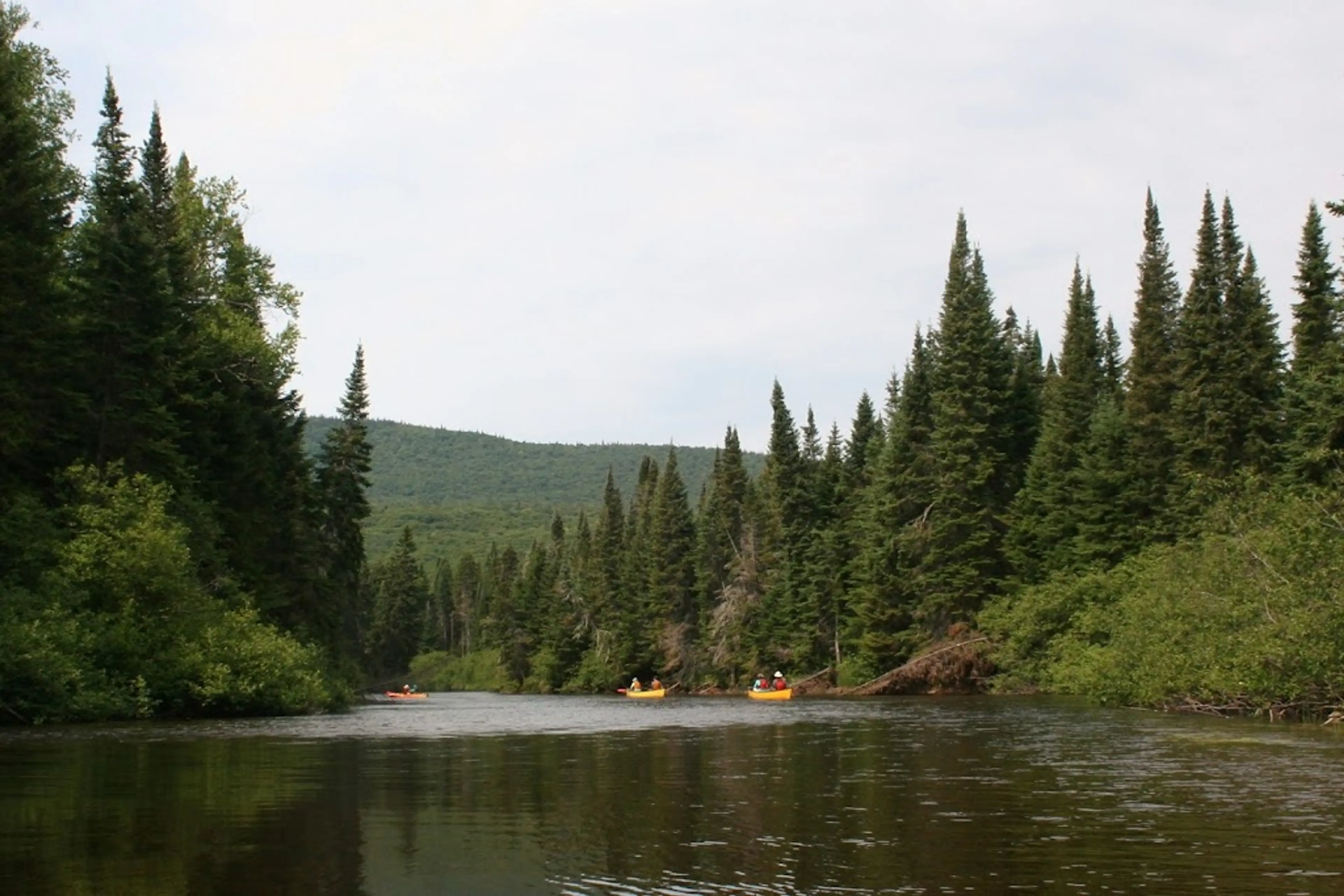 Parc National du Mont-Tremblant