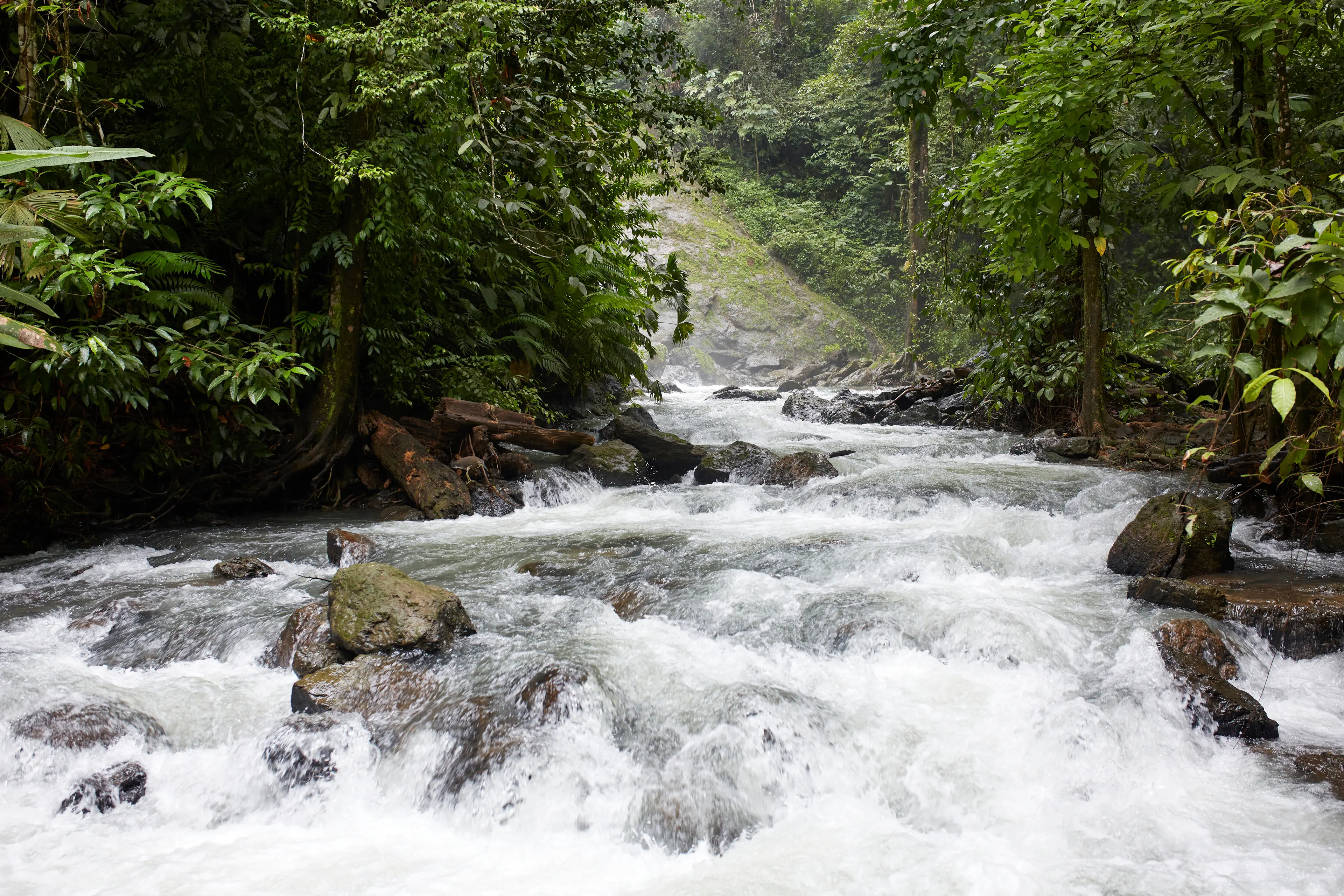 Corcovado National Park