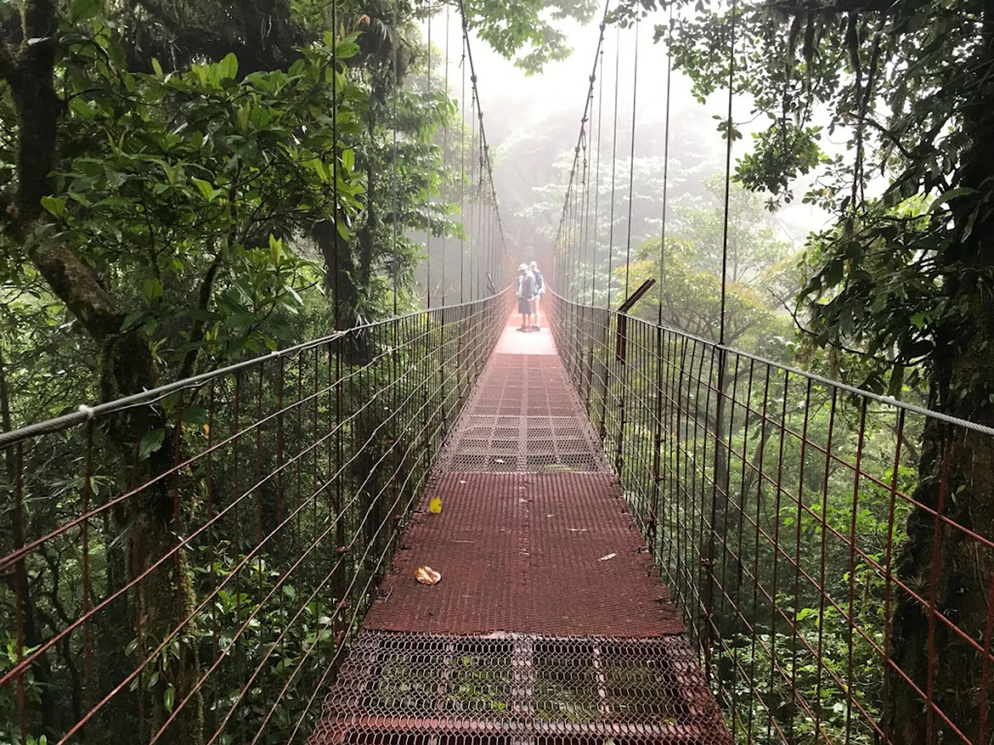 Monteverde Cloud Forest Reserve