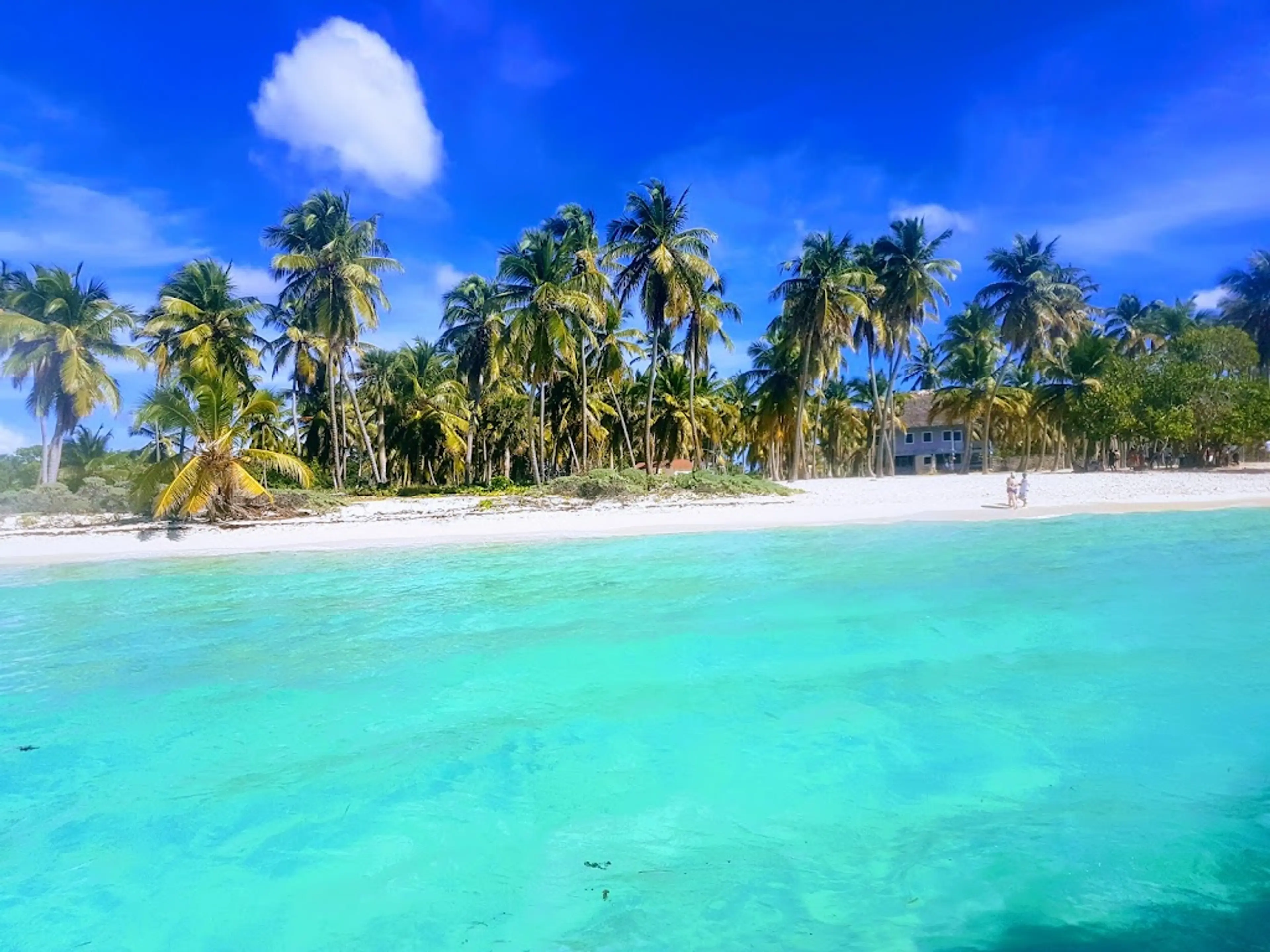 Saona Island