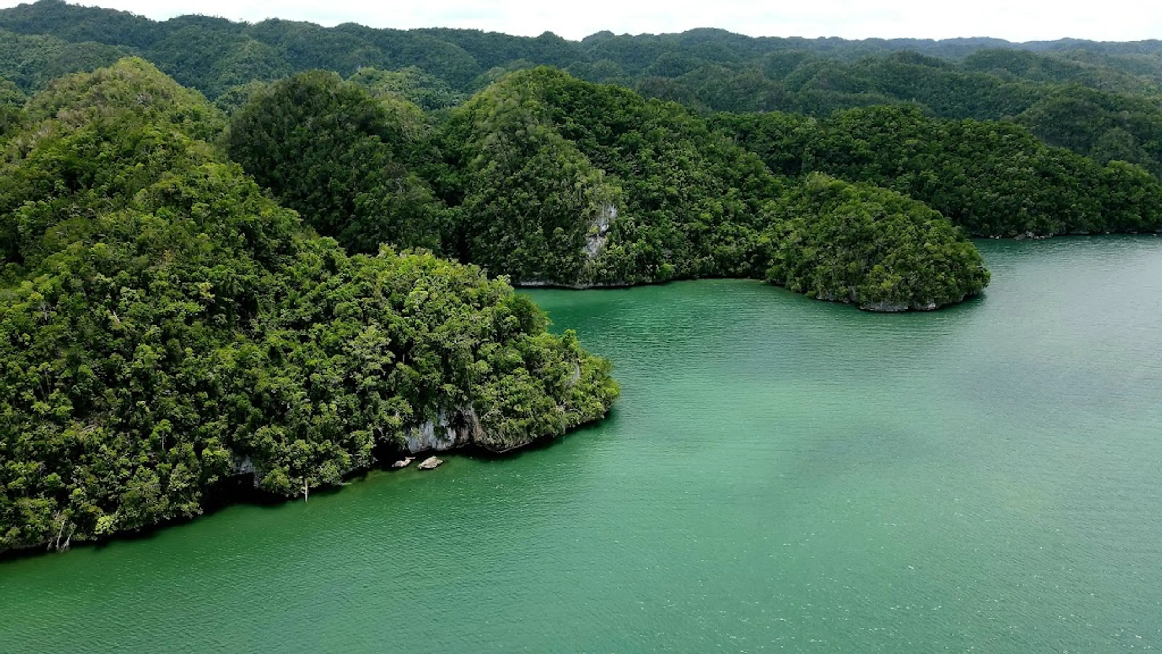 Los Haitises National Park