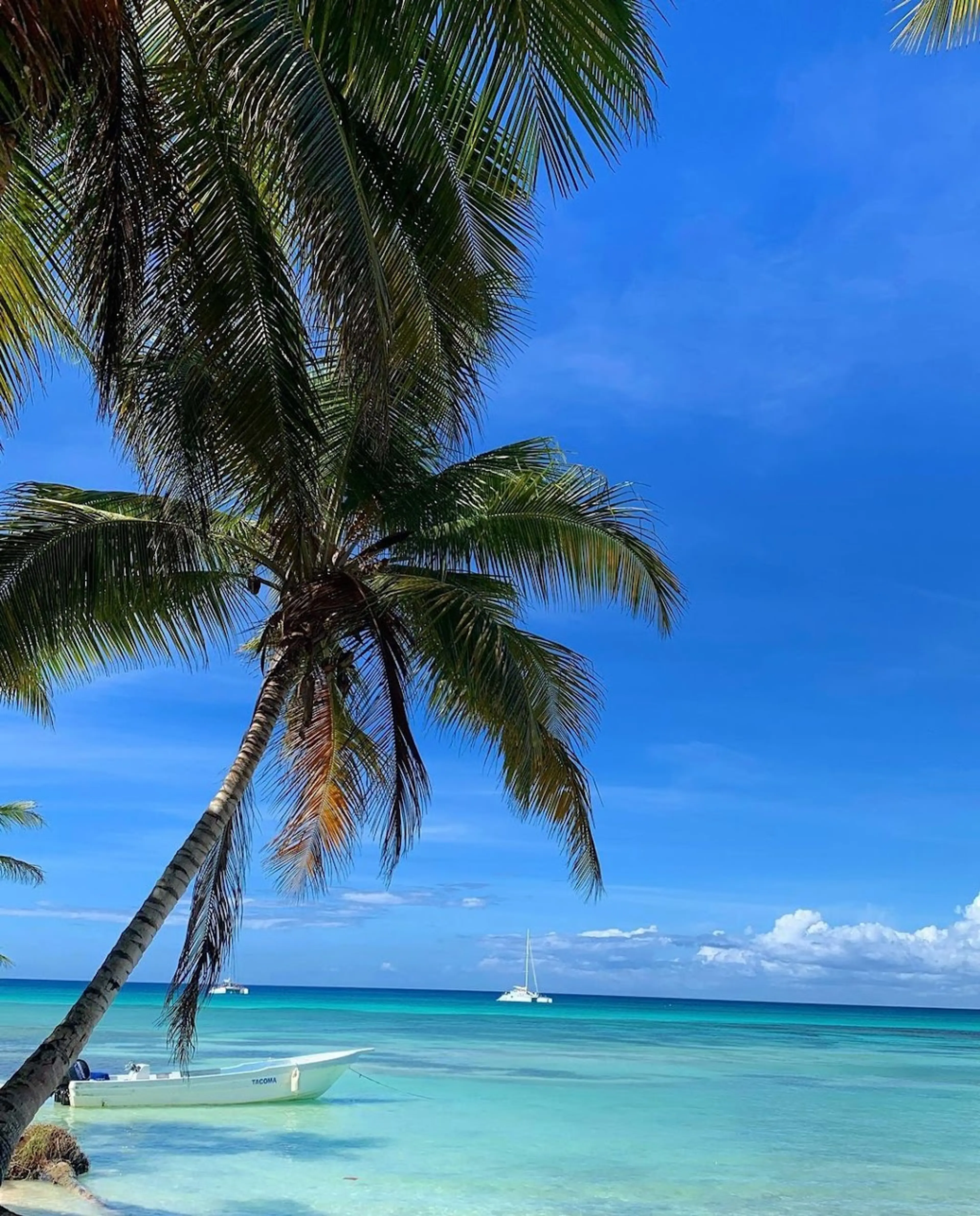 Saona Island