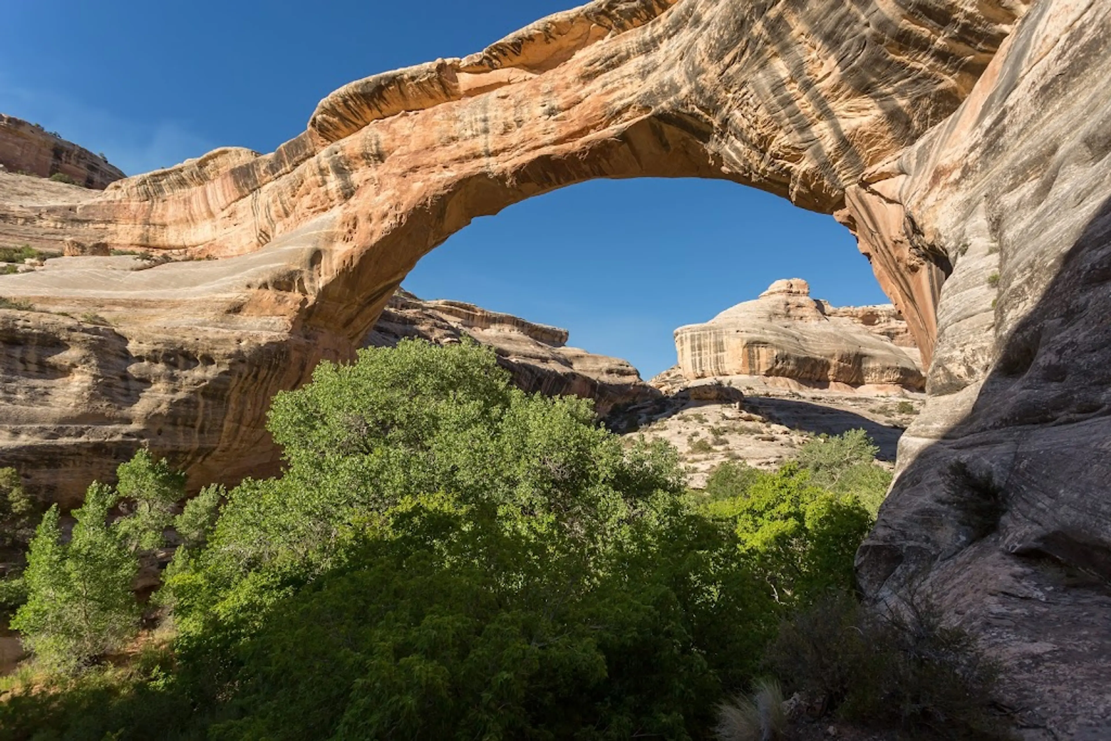 Natural Bridges National Monument