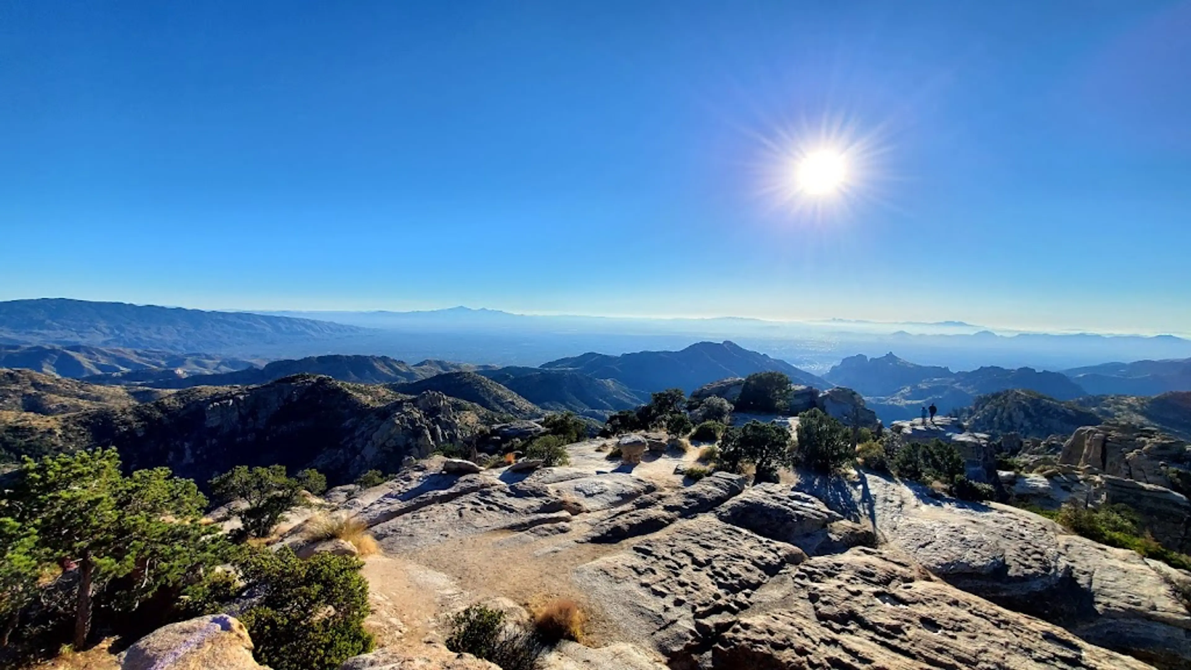 Mount Lemmon