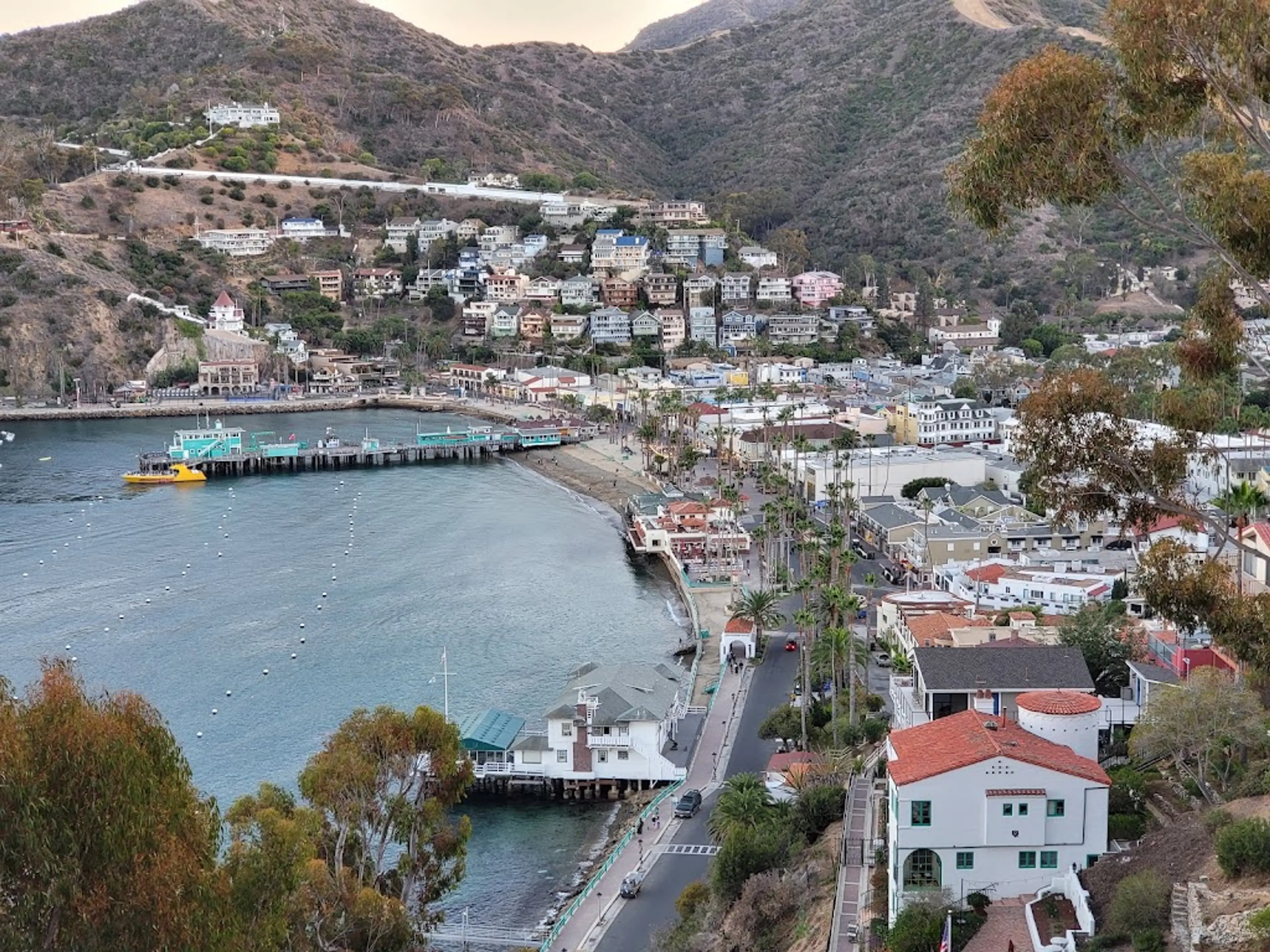 Santa Catalina Island