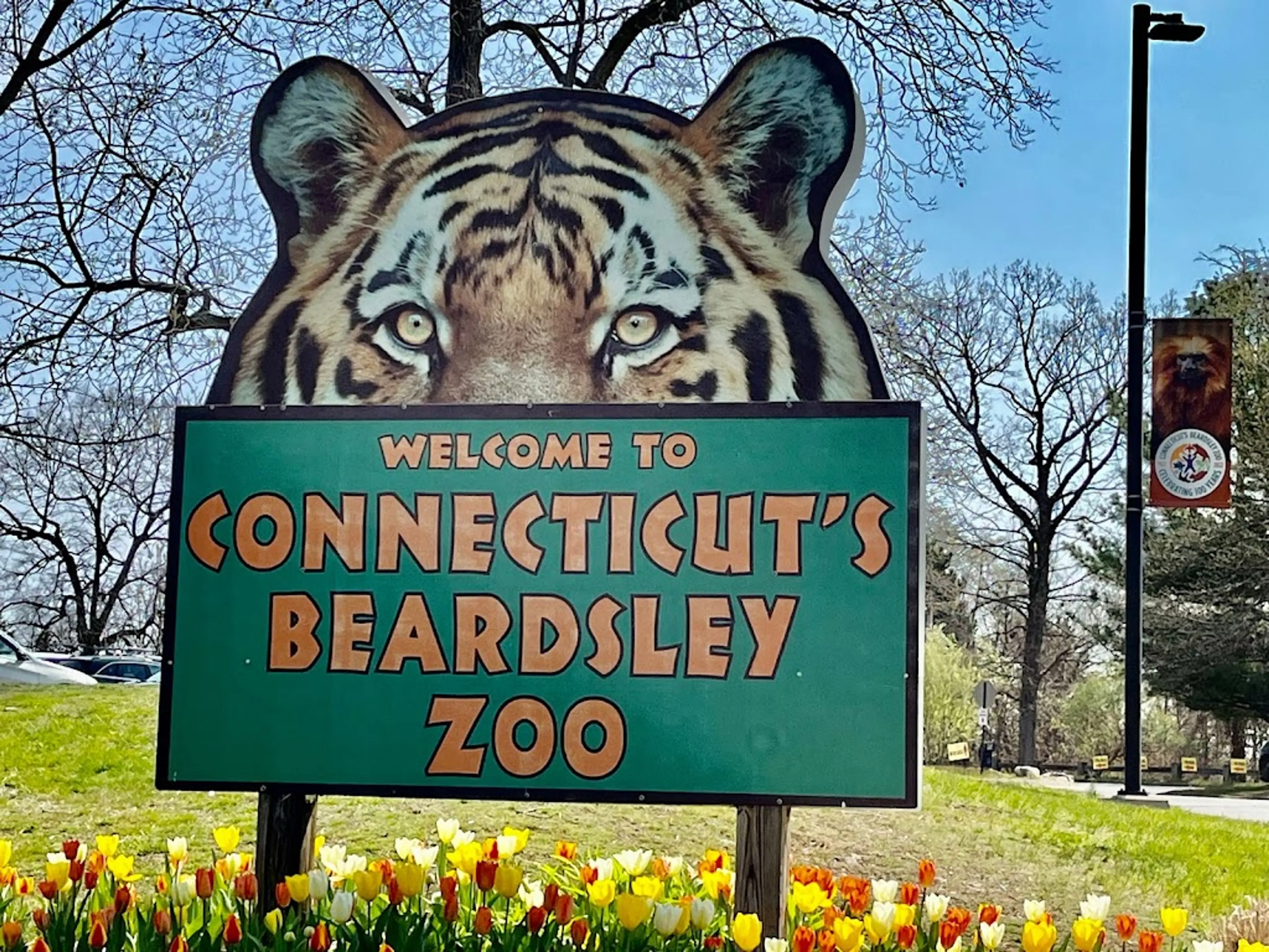 Connecticut's Beardsley Zoo