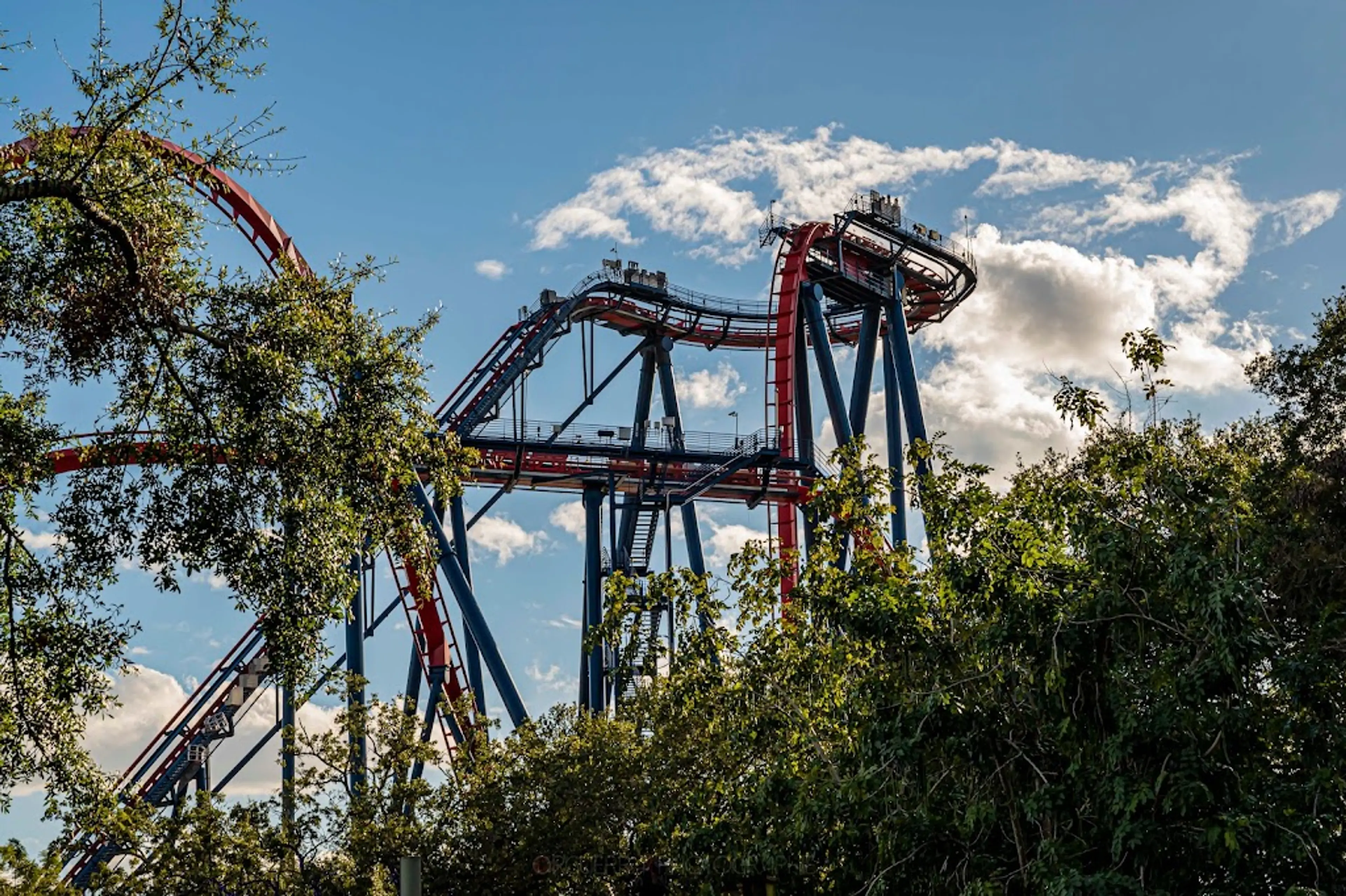 Busch Gardens Tampa Bay