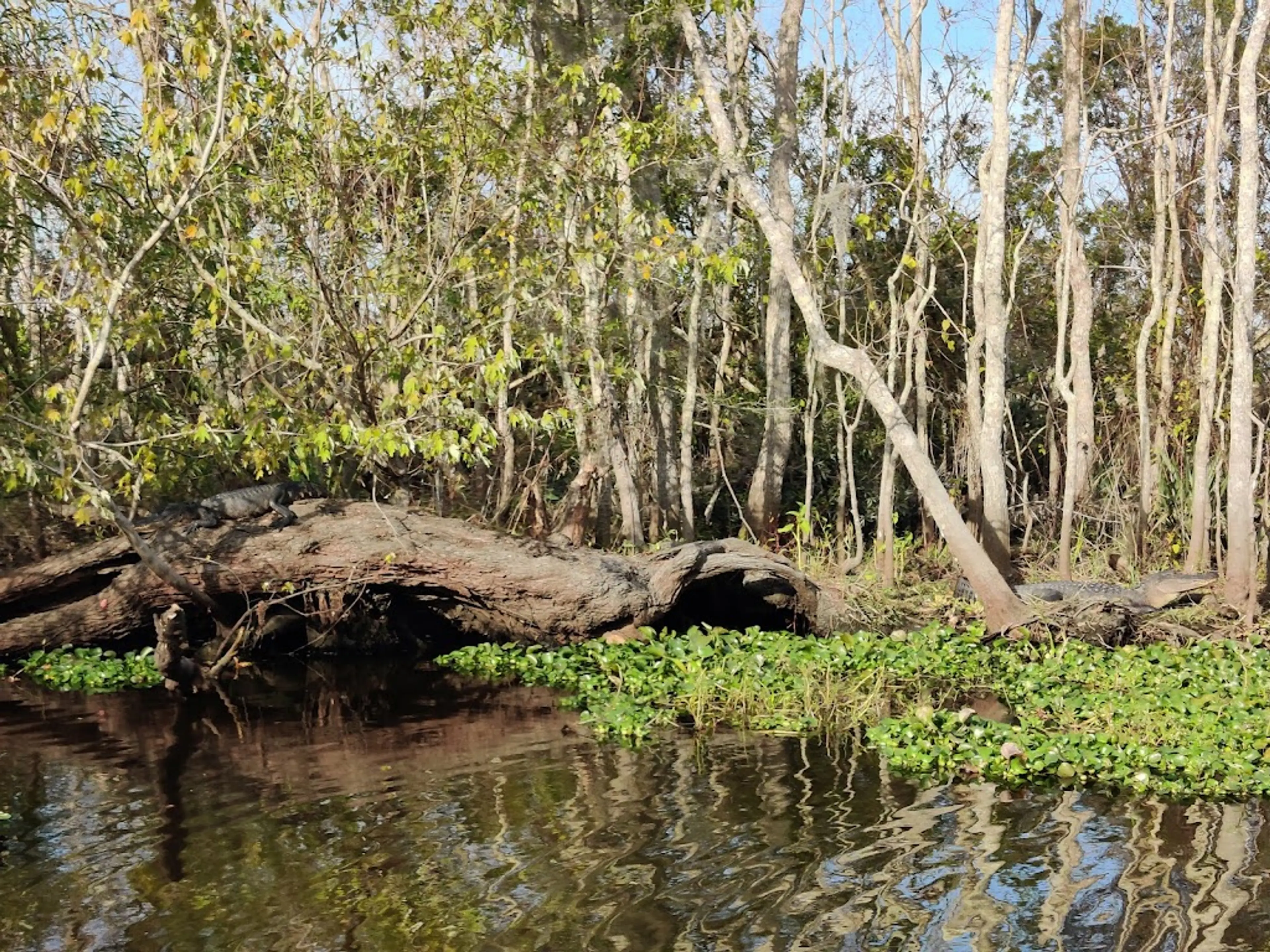 Jean Lafitte National Historical Park and Preserve