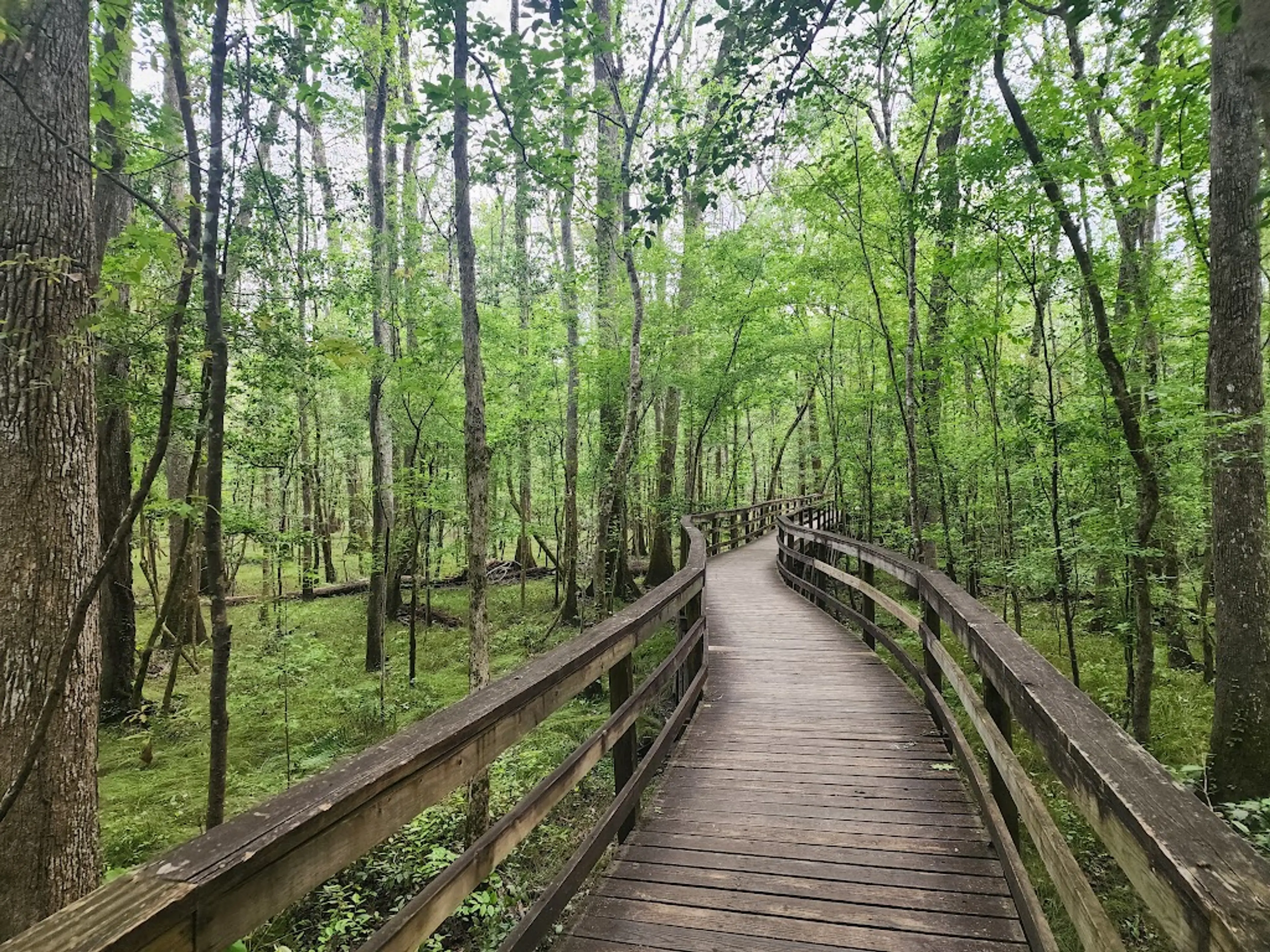 Congaree National Park
