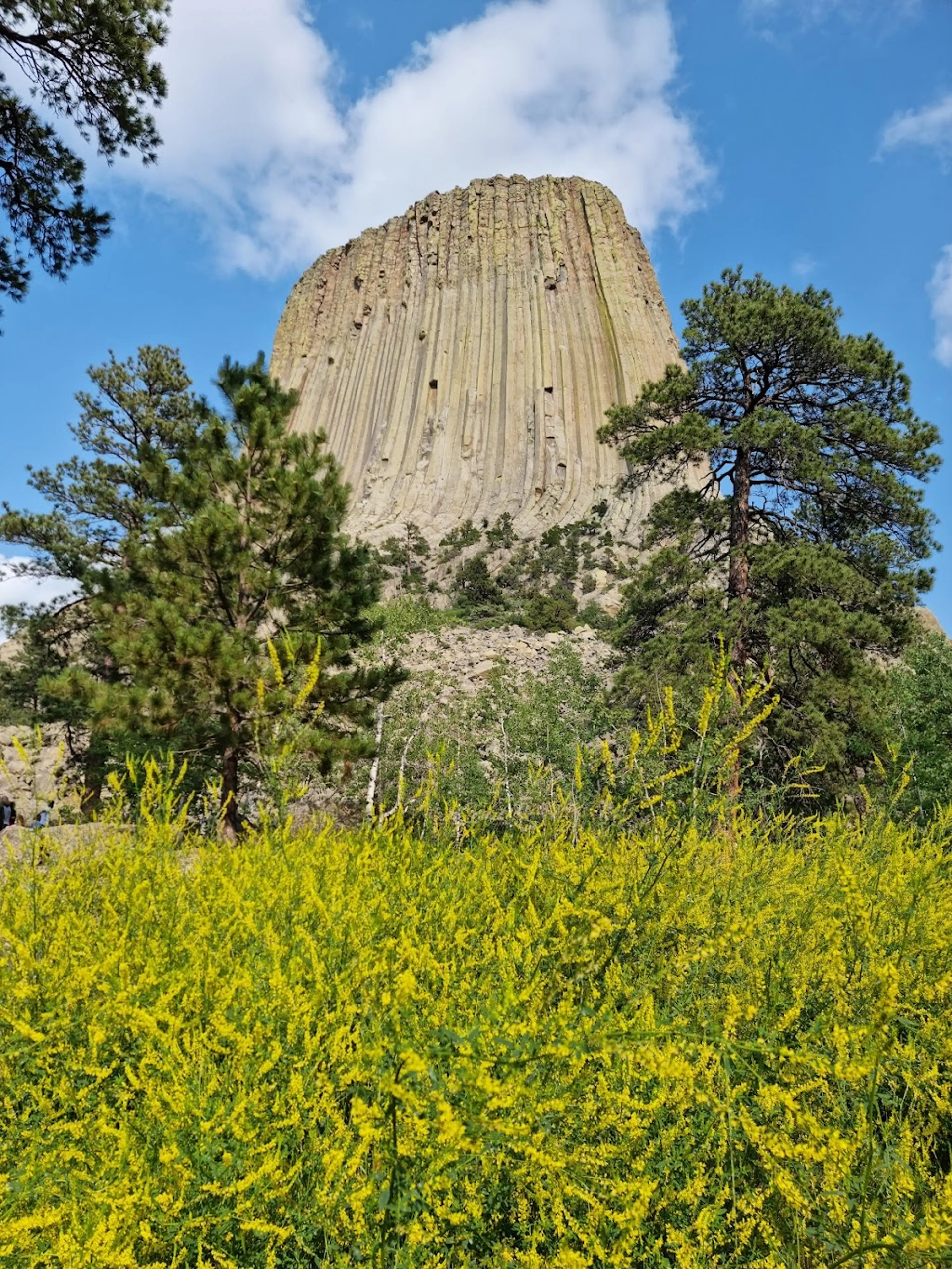 Devils Tower National Monument