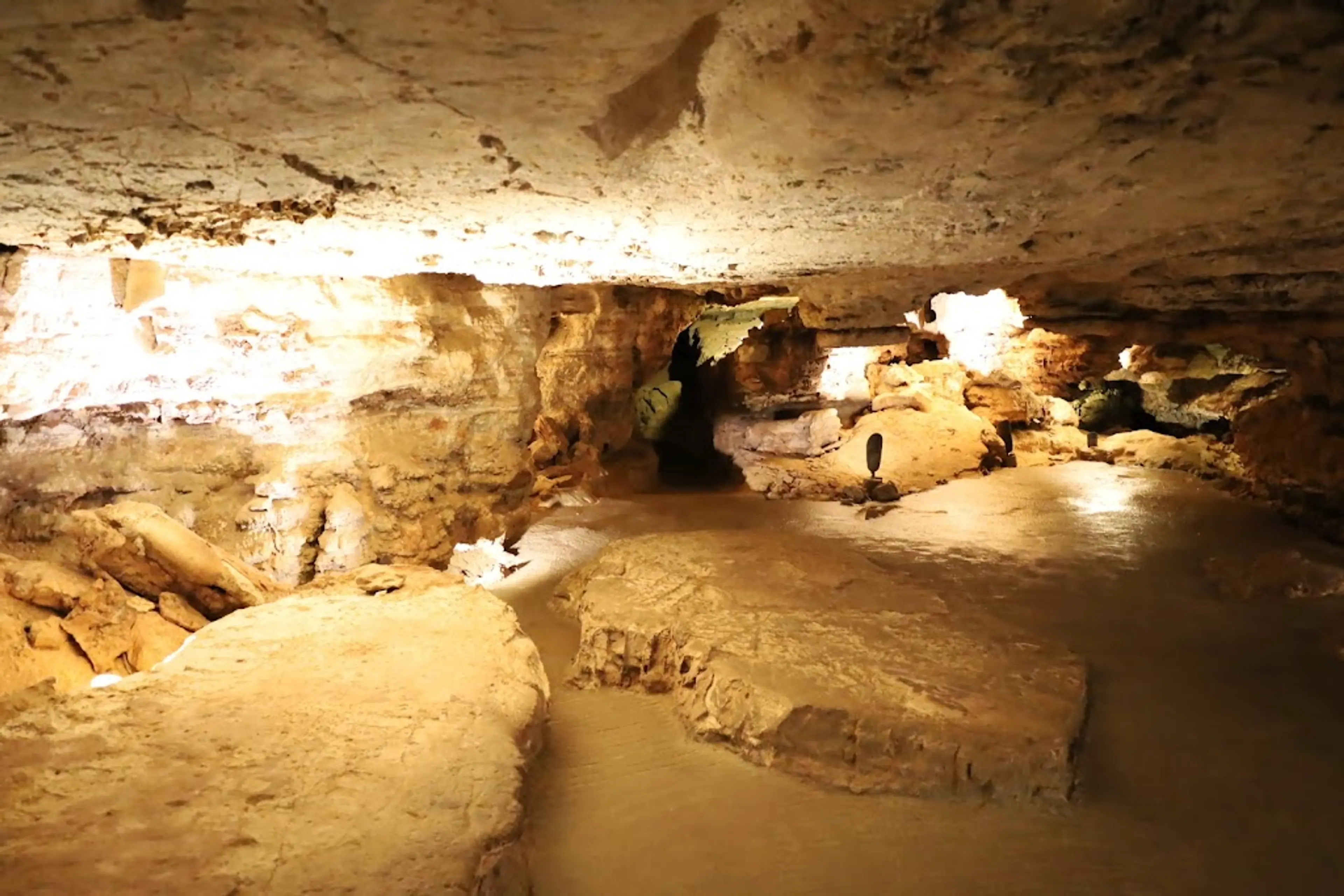 Wind Cave National Park