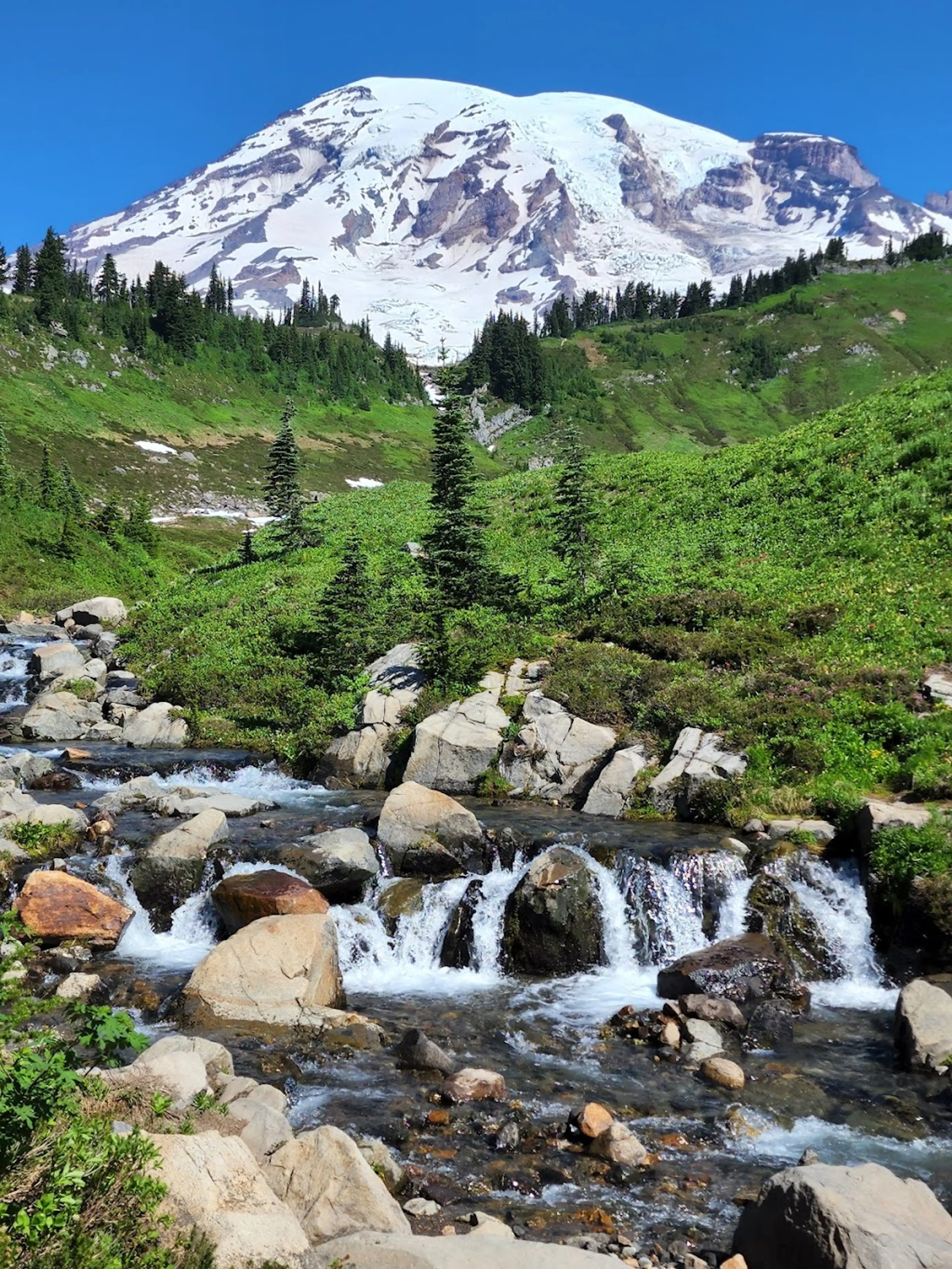 Mount Rainier National Park