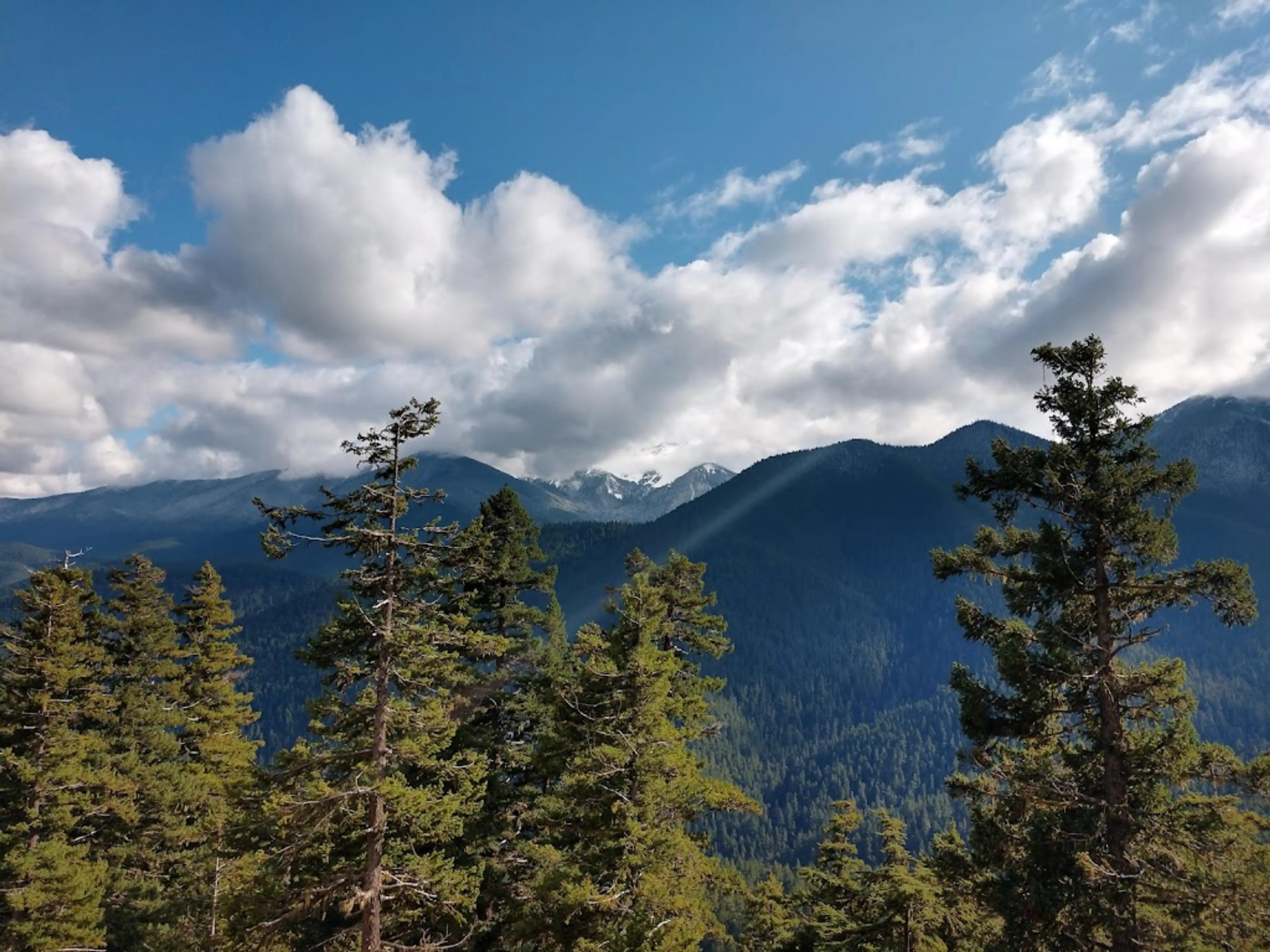 Olympic National Park