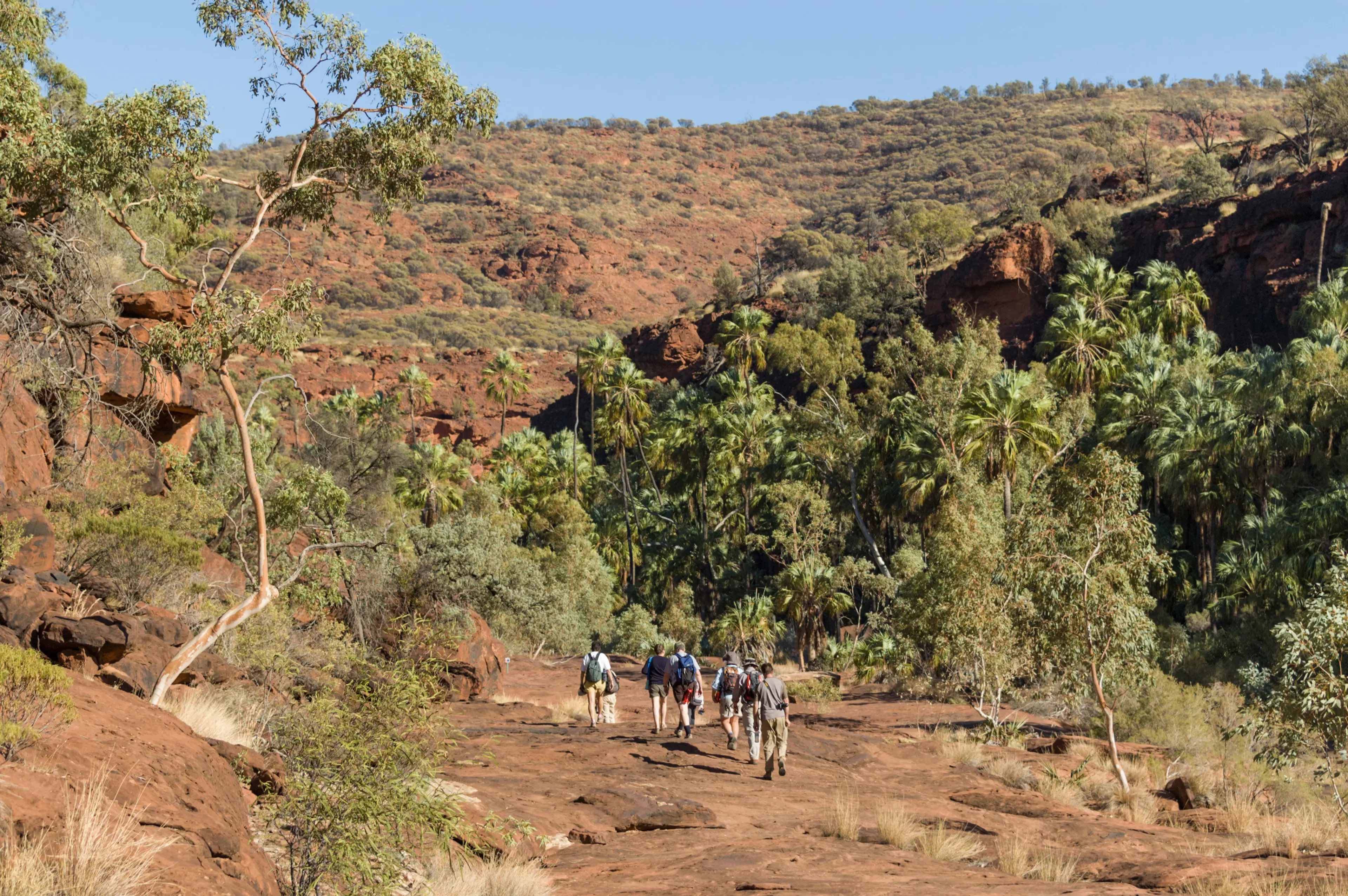 Finke Gorge National Park