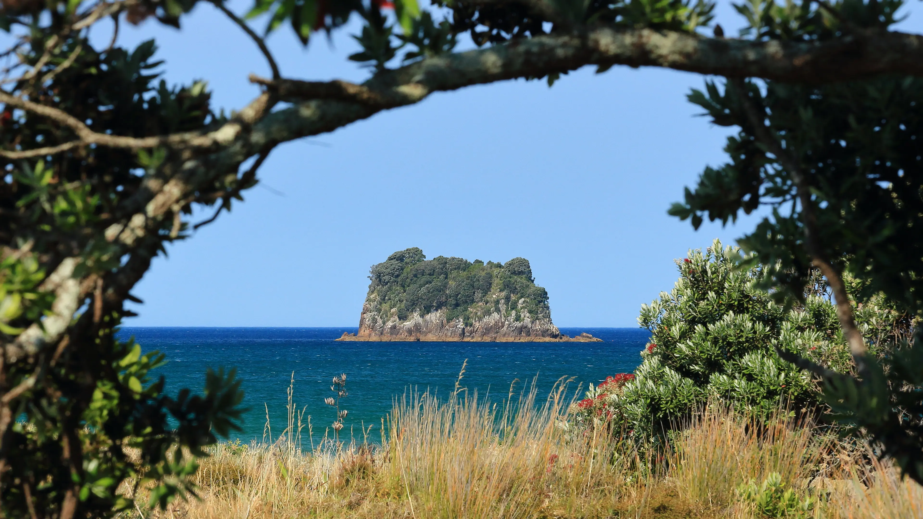 Whangamata