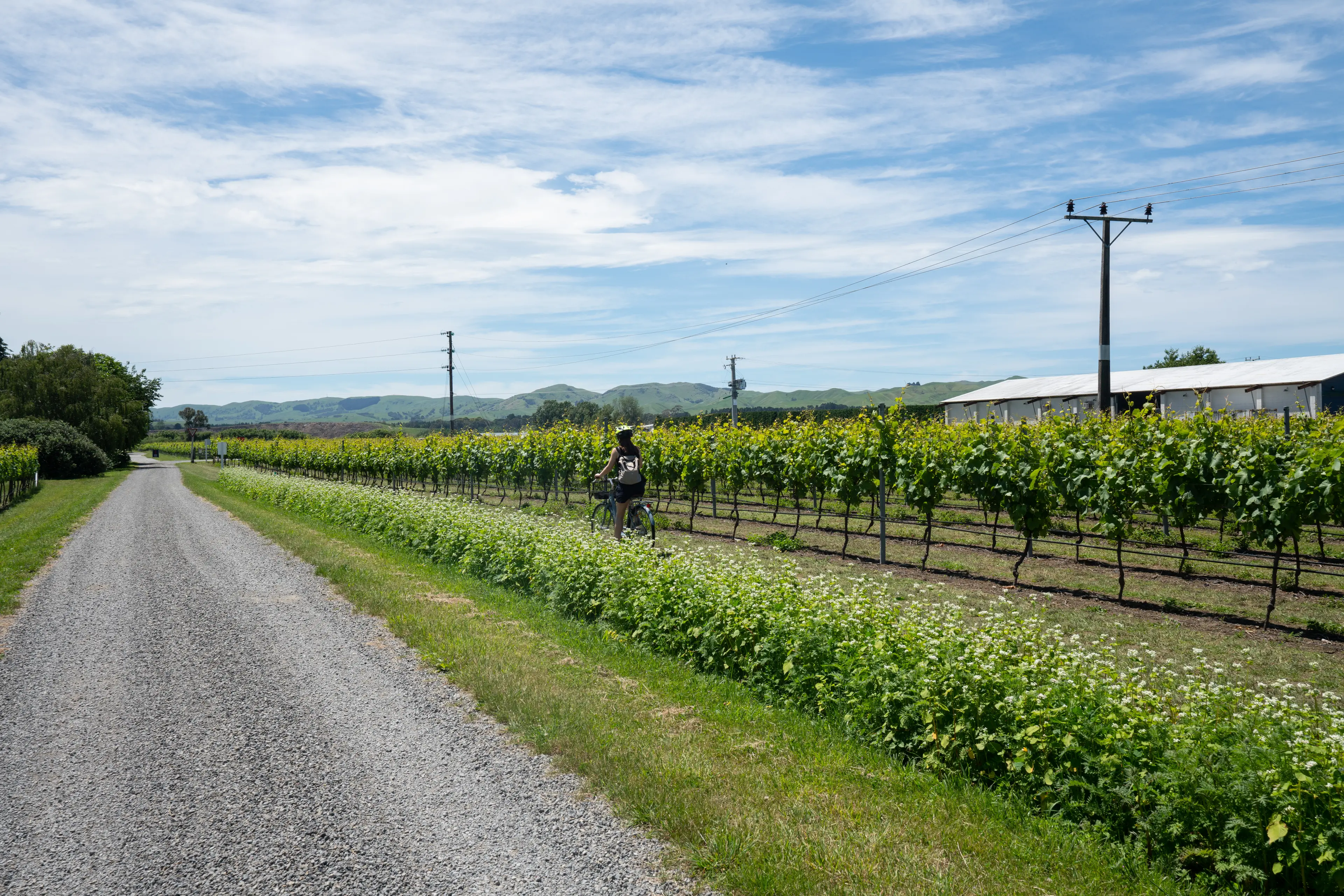 Martinborough