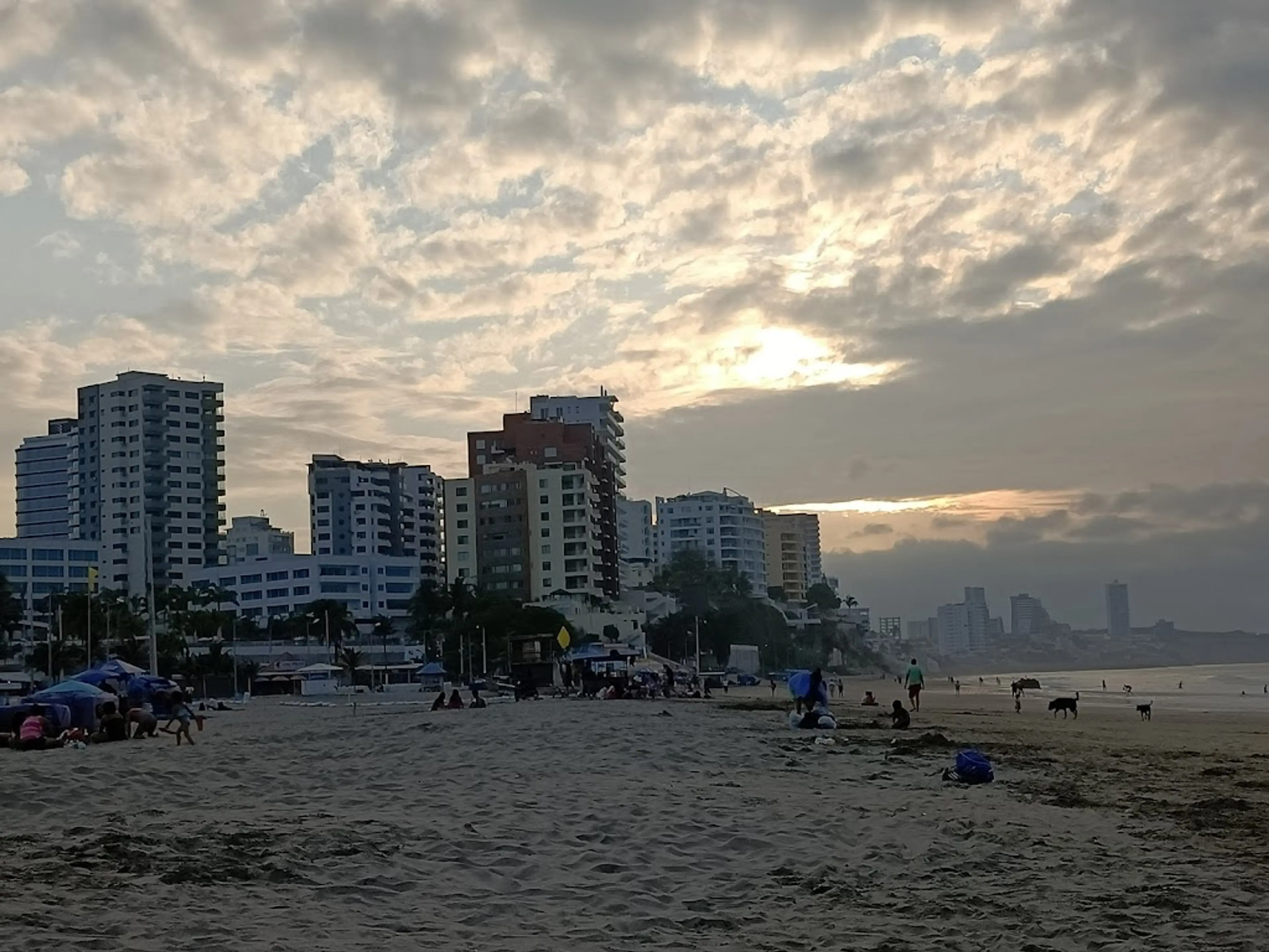 Manta