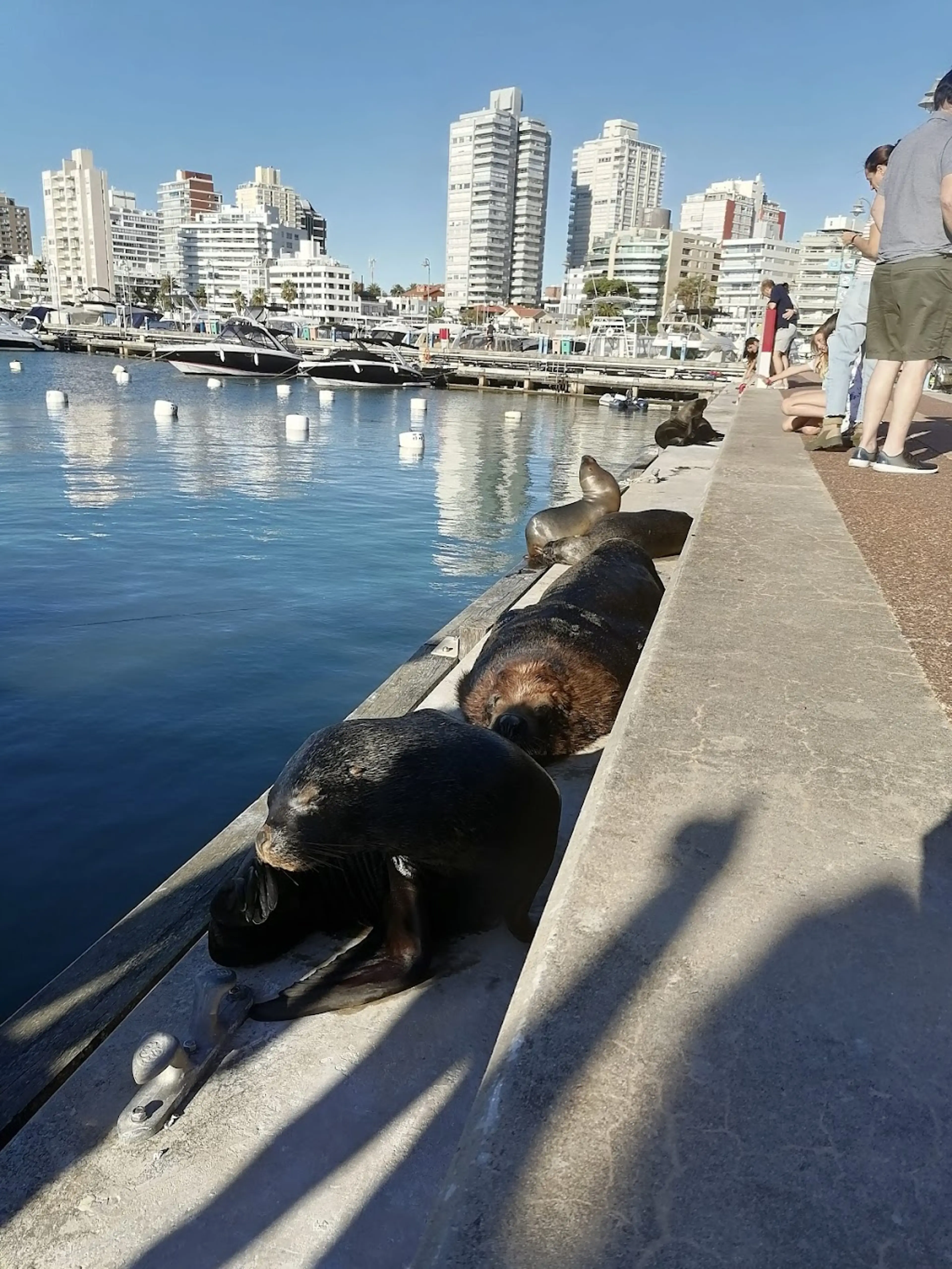 Punta del Este