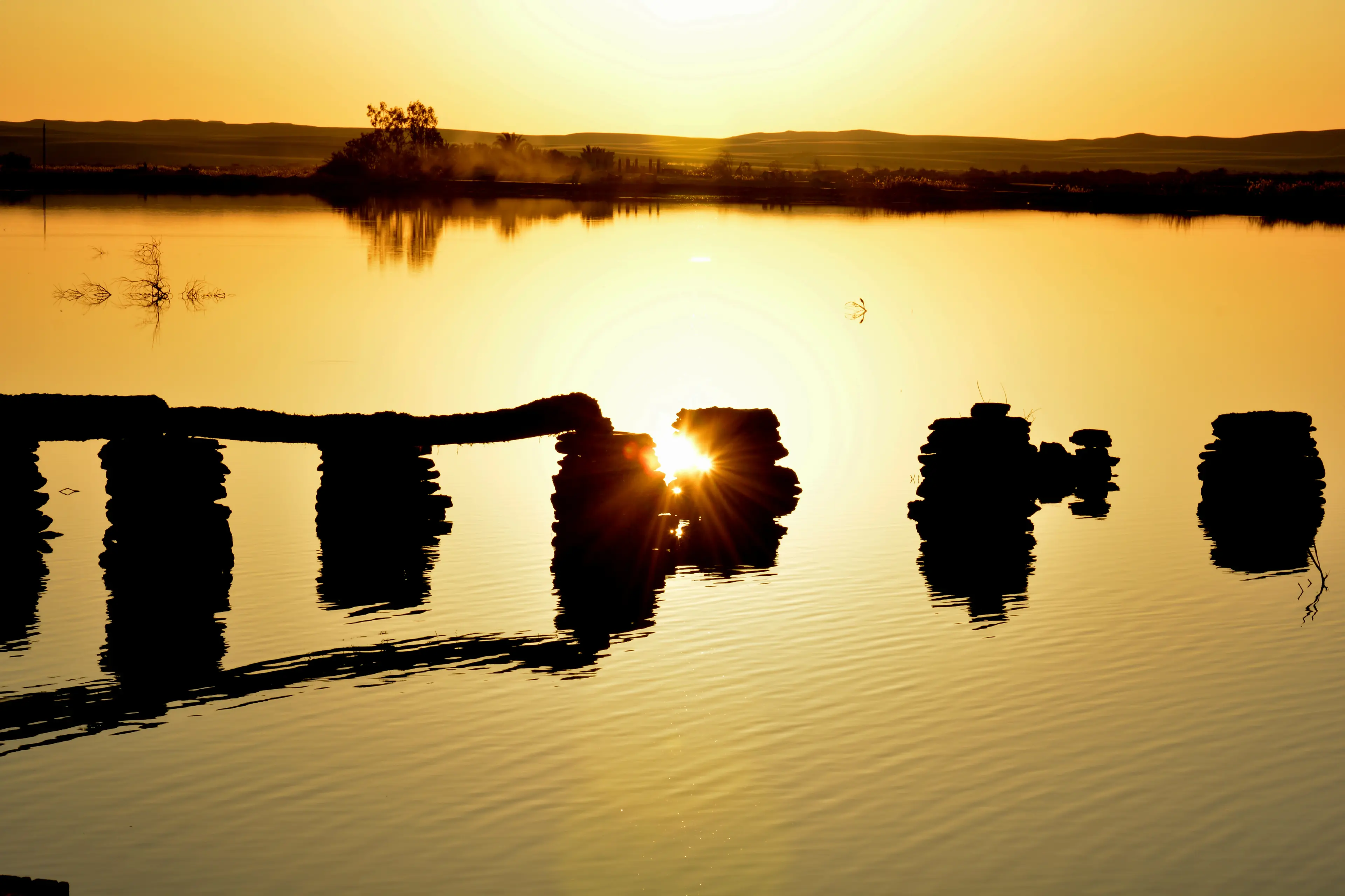 Golden hour over the oasis waters