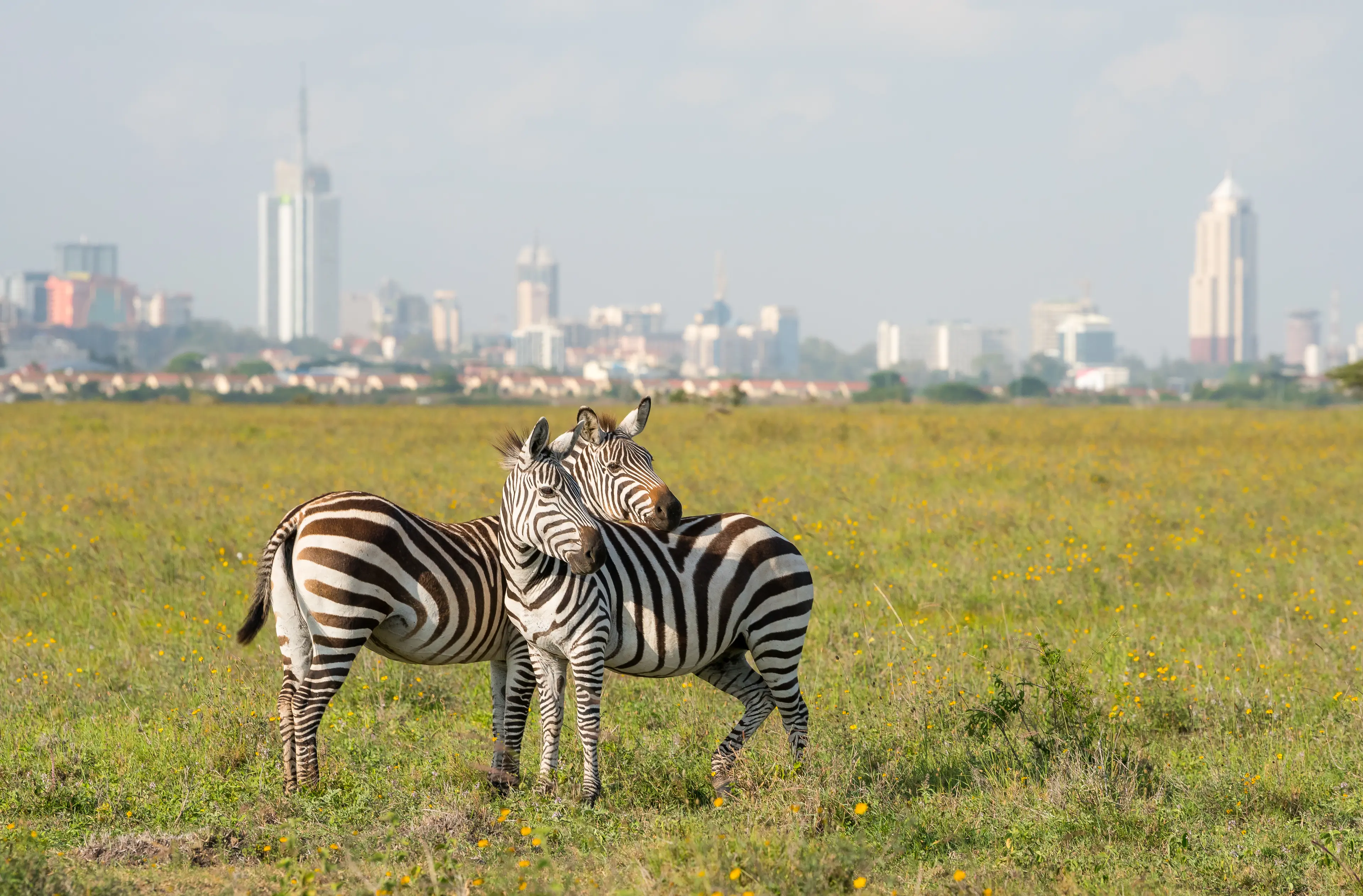 2-Day Exciting Exploration of Nairobi, Kenya